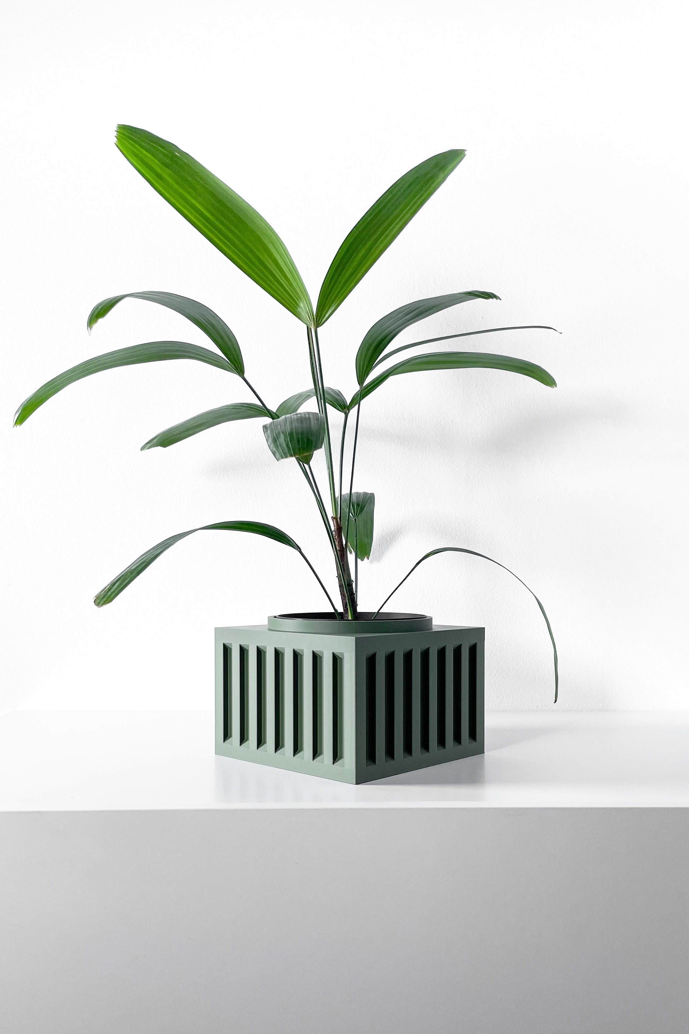 Larix Planter