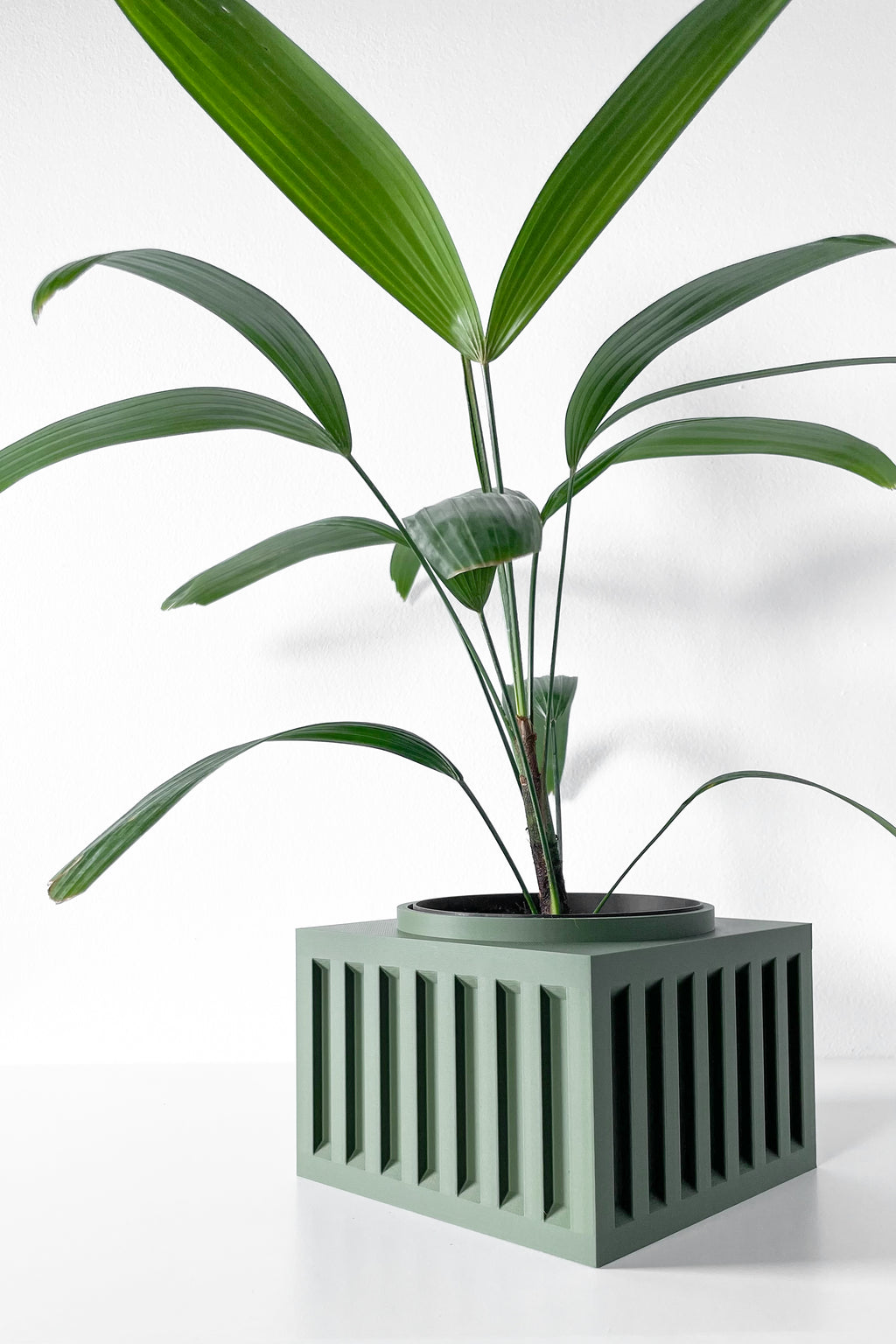 Larix Planter