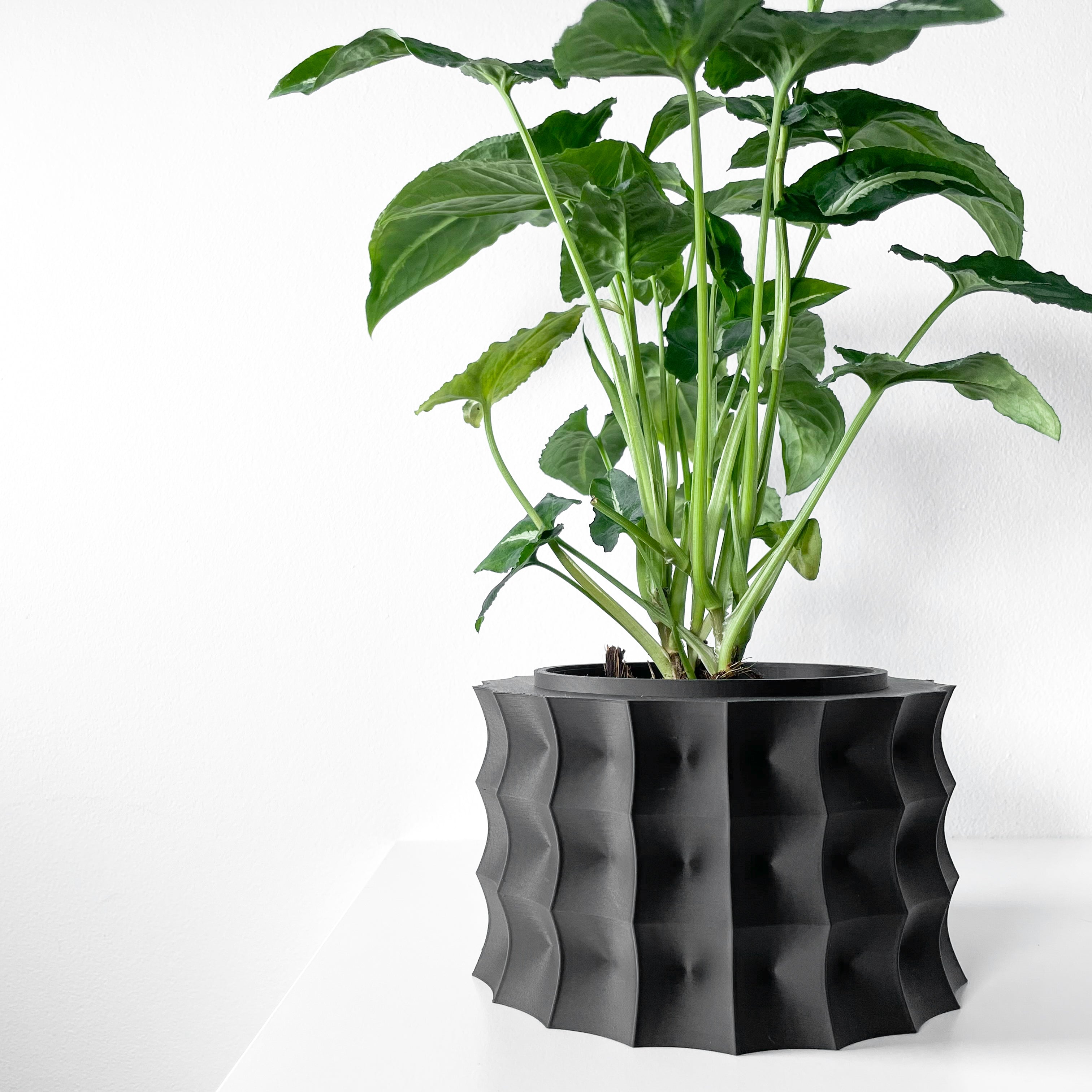 Kivern Planter