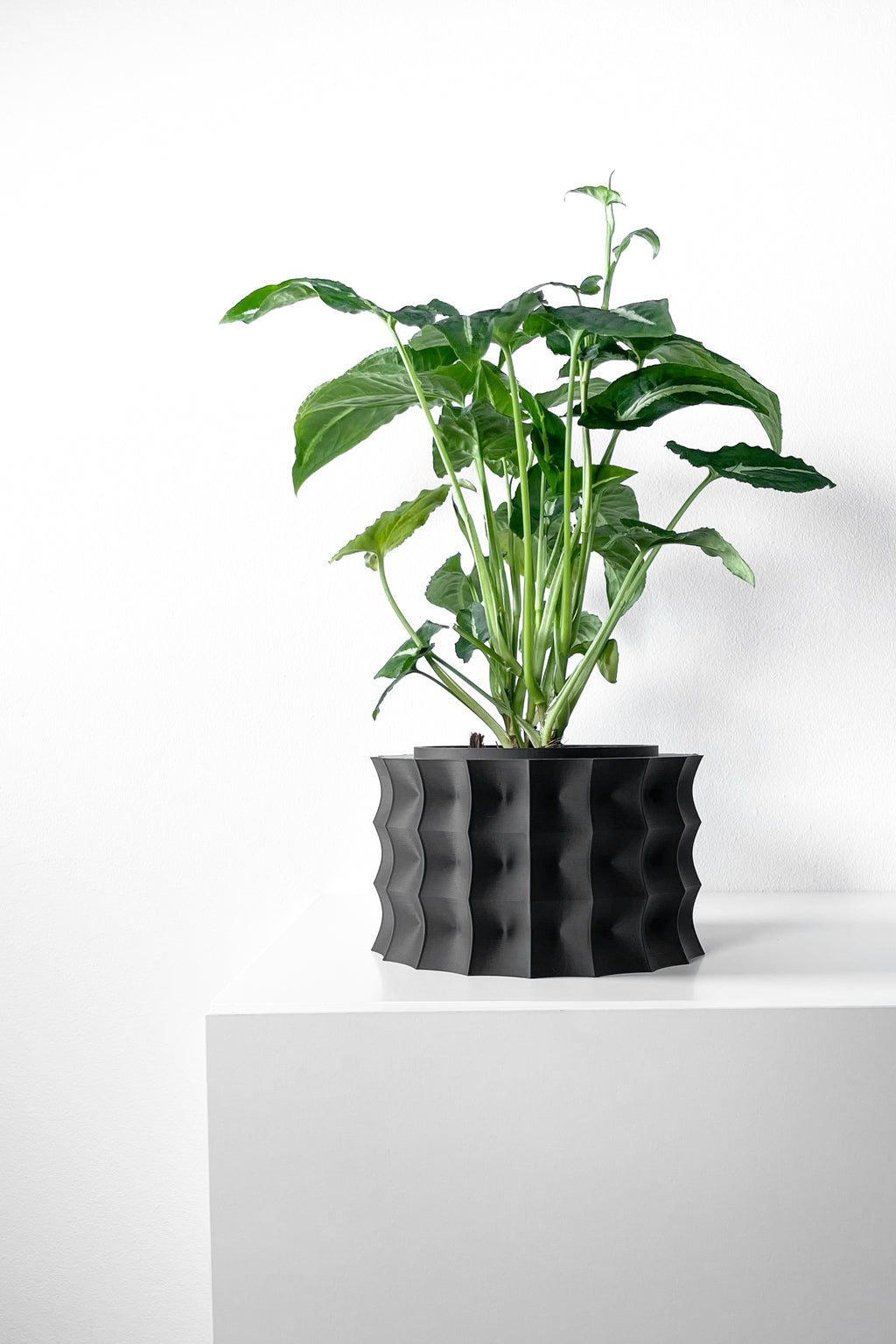 Kivern Planter