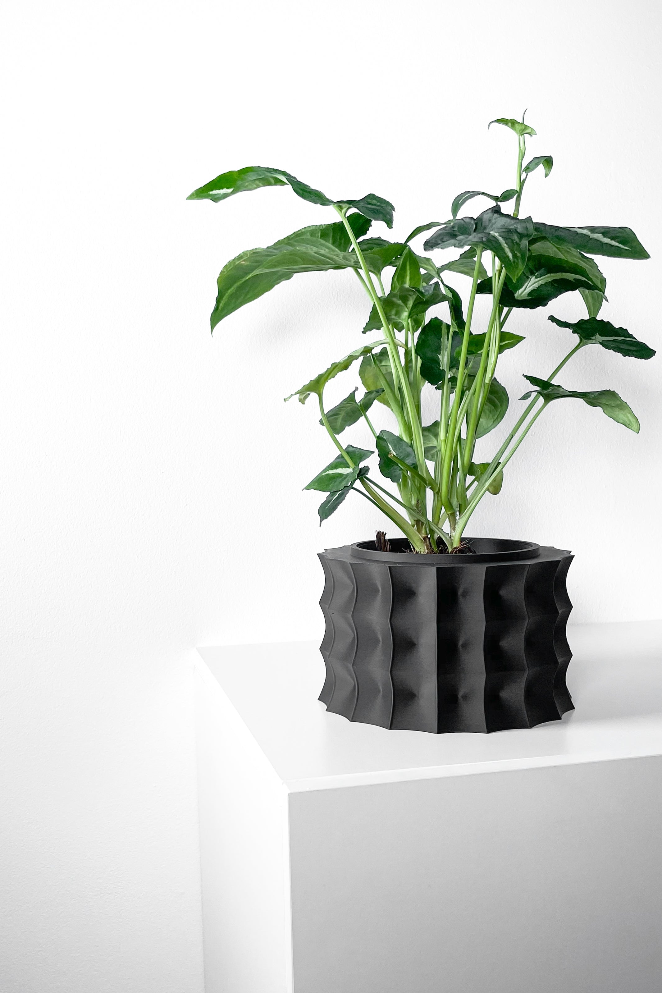 Kivern Planter