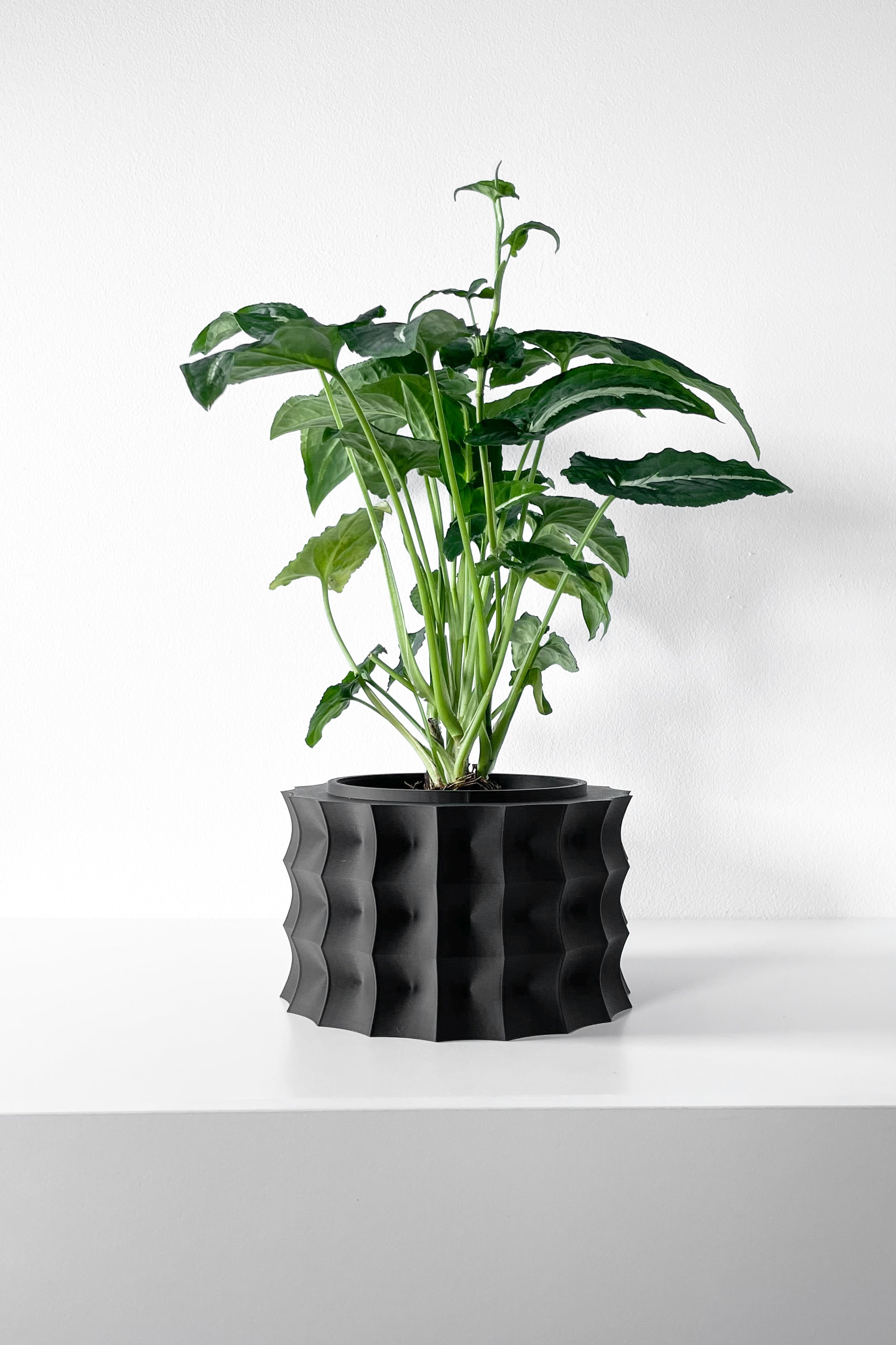 Kivern Planter