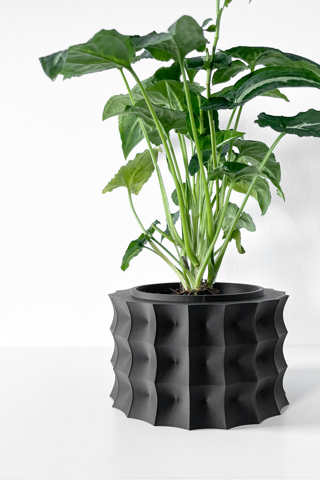 Kivern Planter