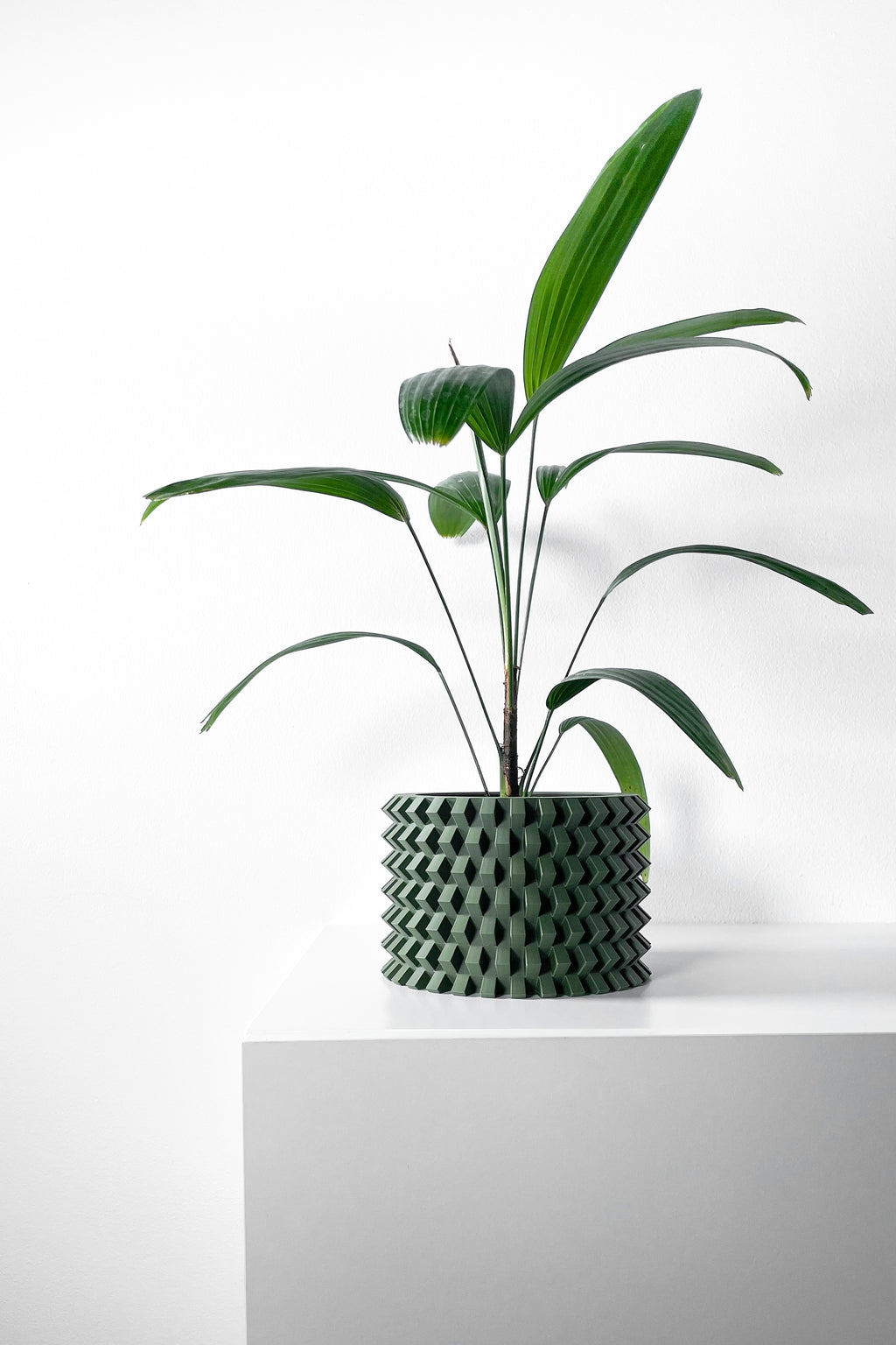 Rilvo Planter