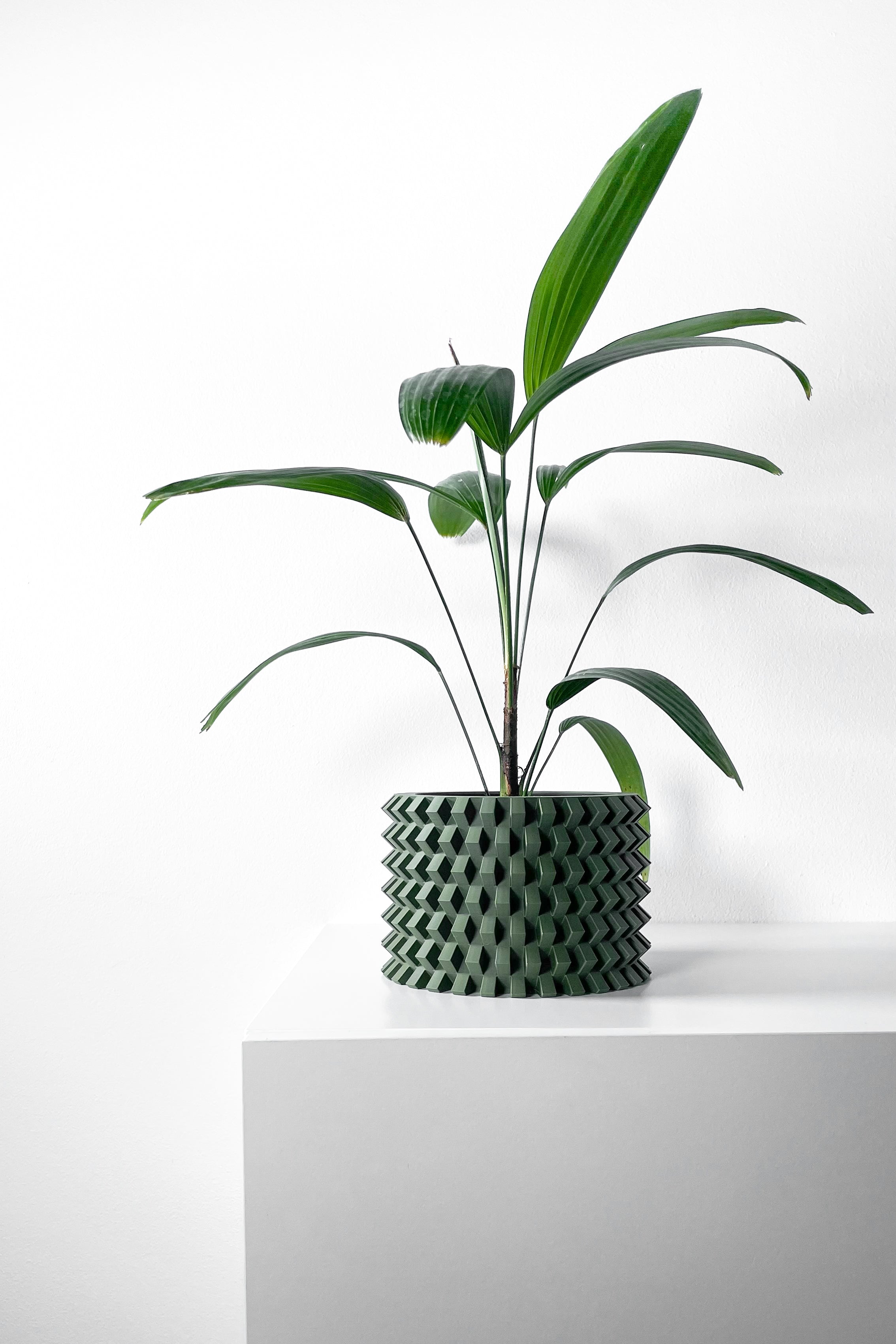 Rilvo Planter