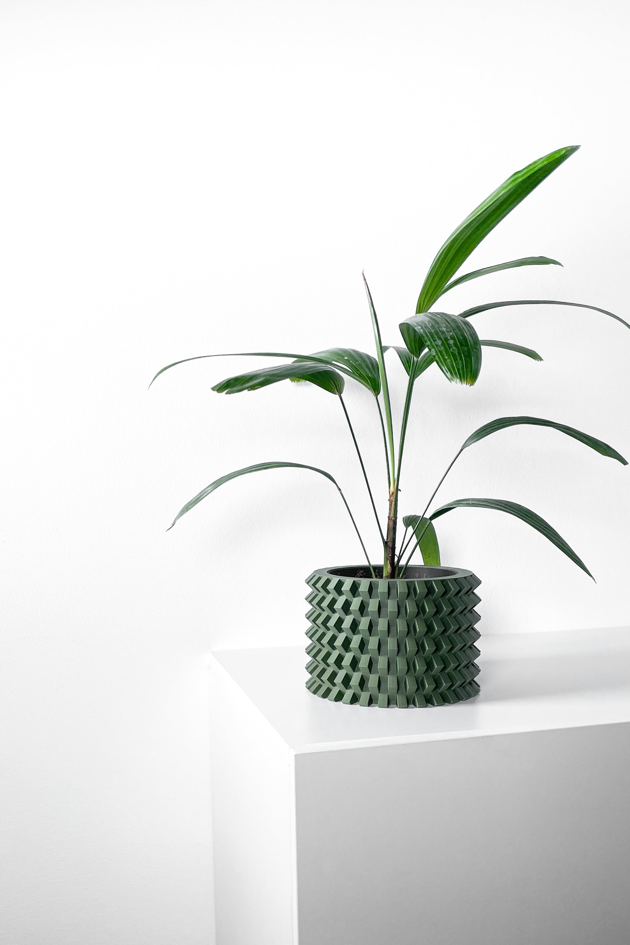 Rilvo Planter