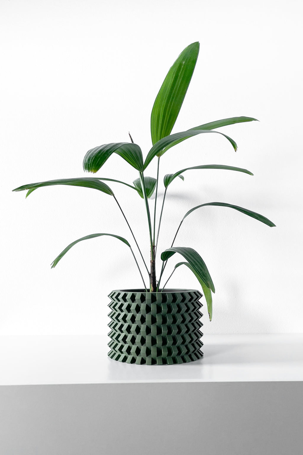 Rilvo Planter