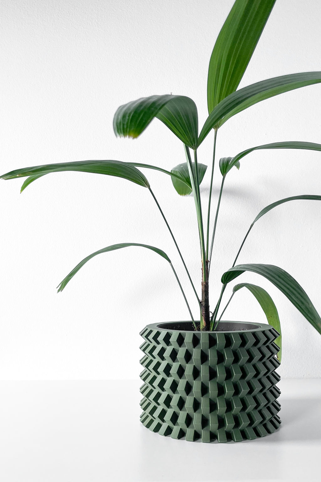 Rilvo Planter