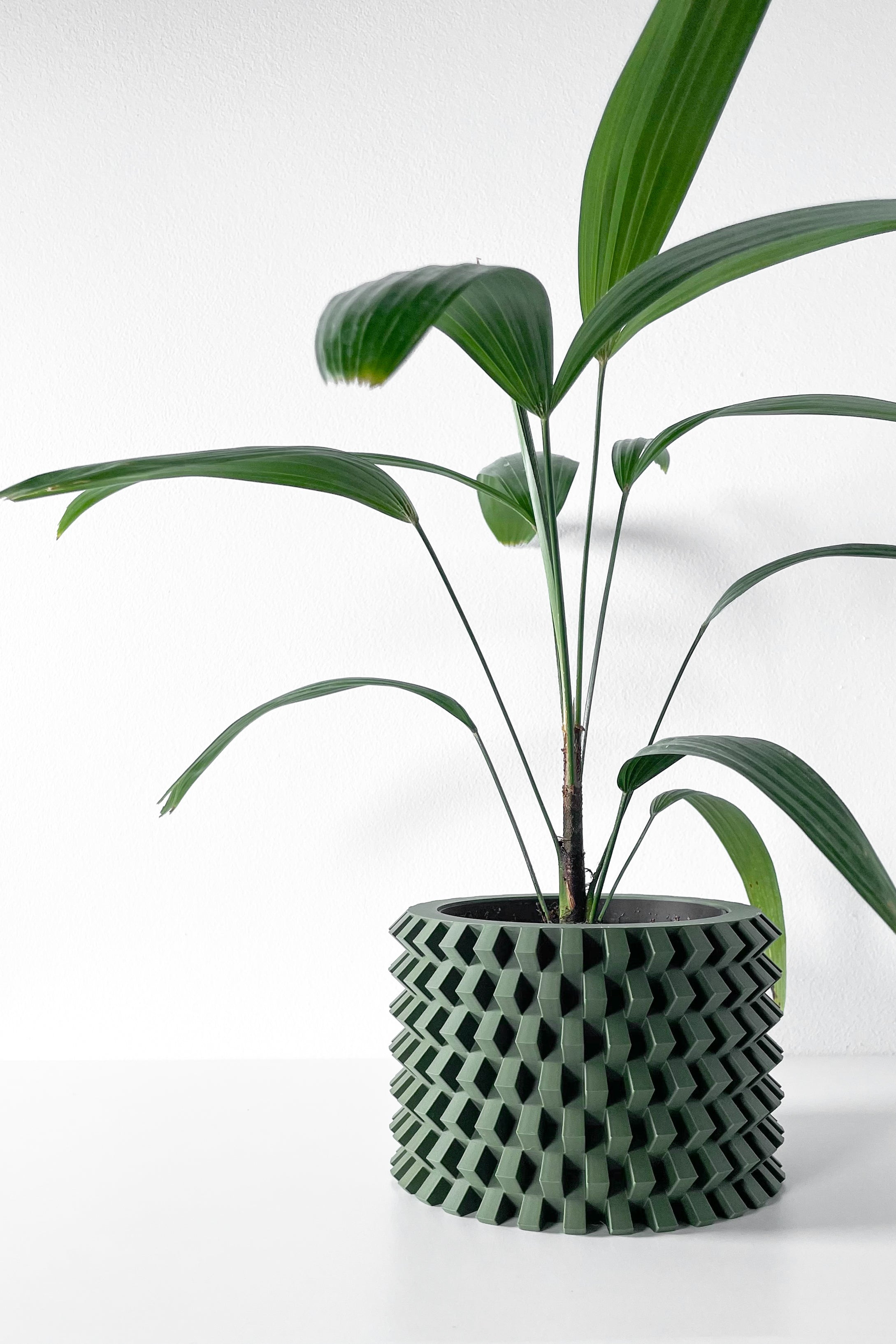 Rilvo Planter