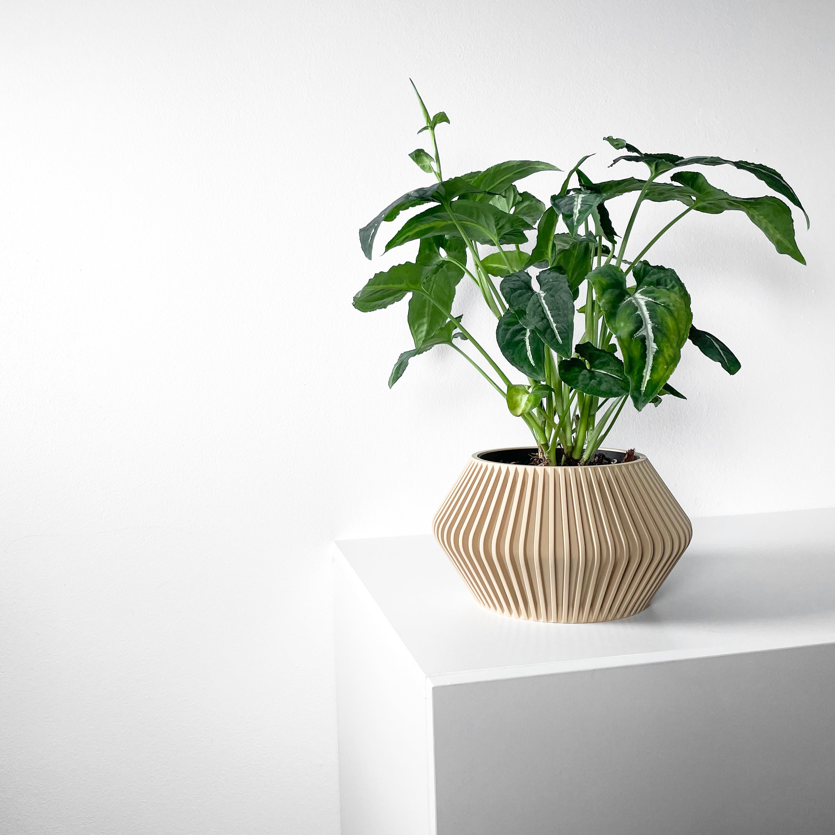 Hendro Planter