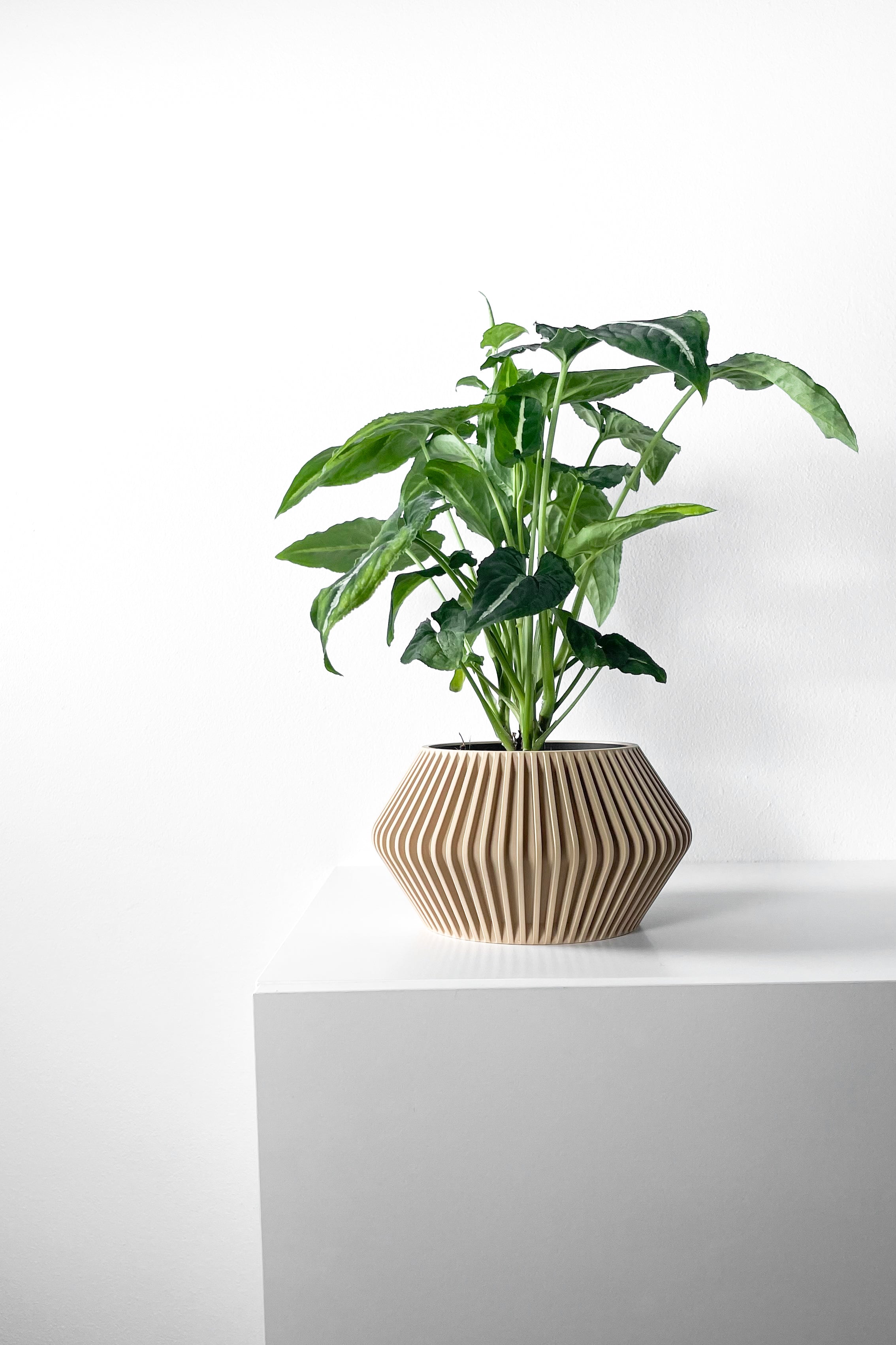 Hendro Planter