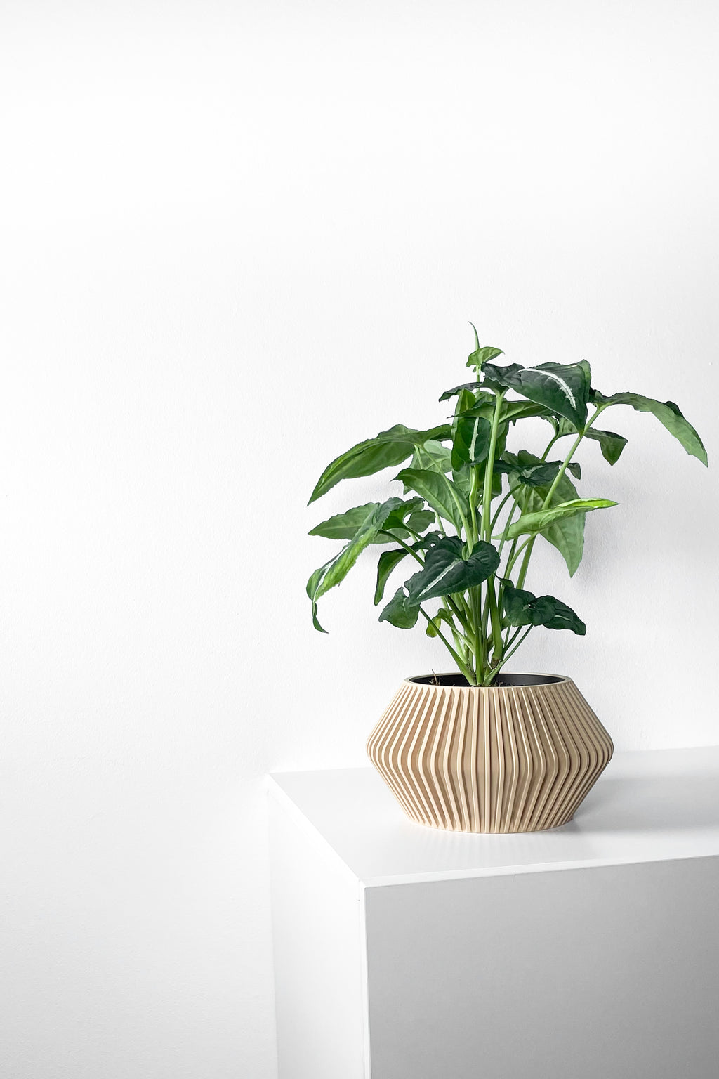 Hendro Planter