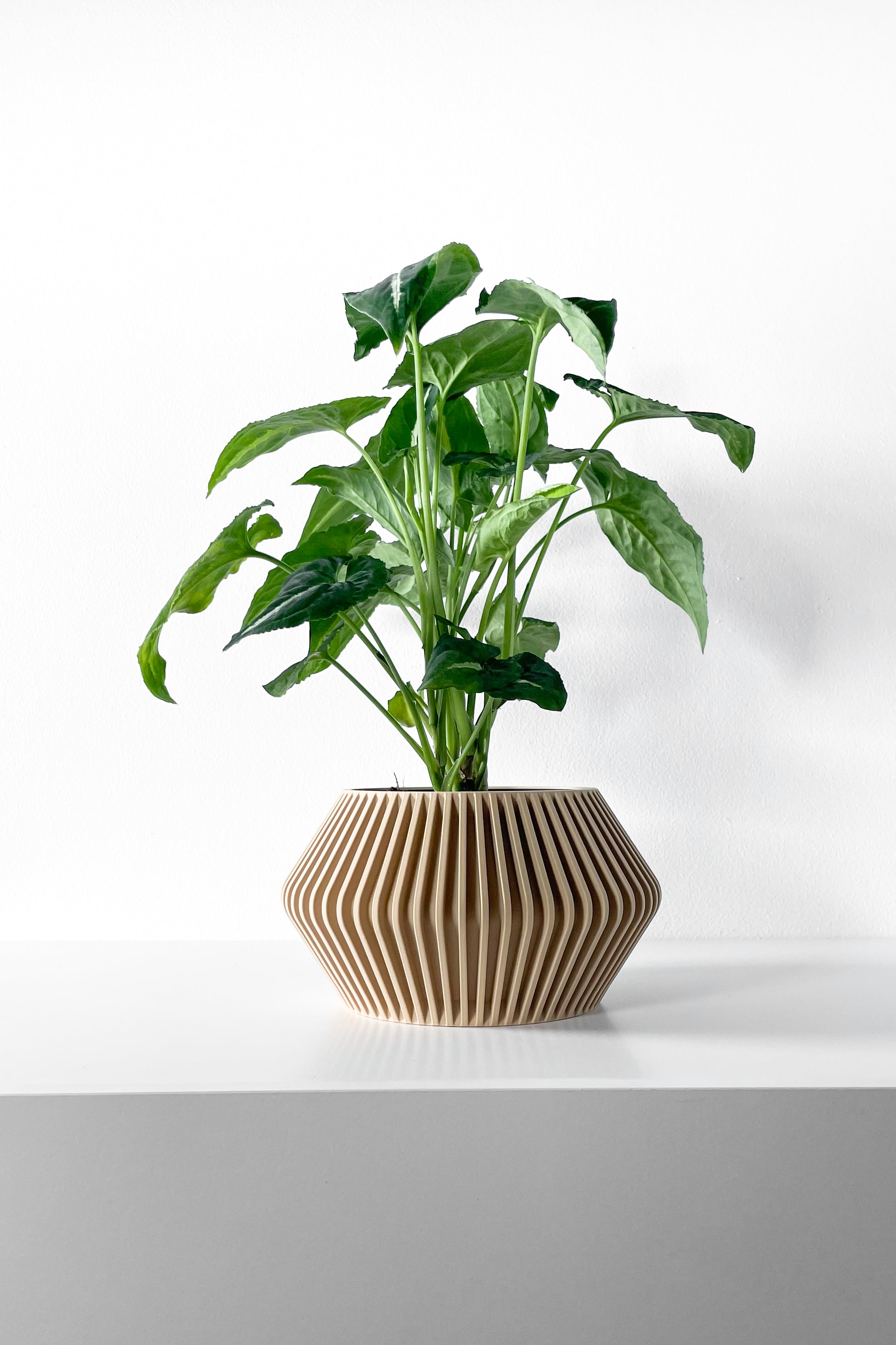 Hendro Planter
