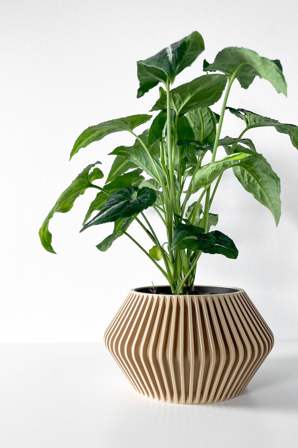 Hendro Planter