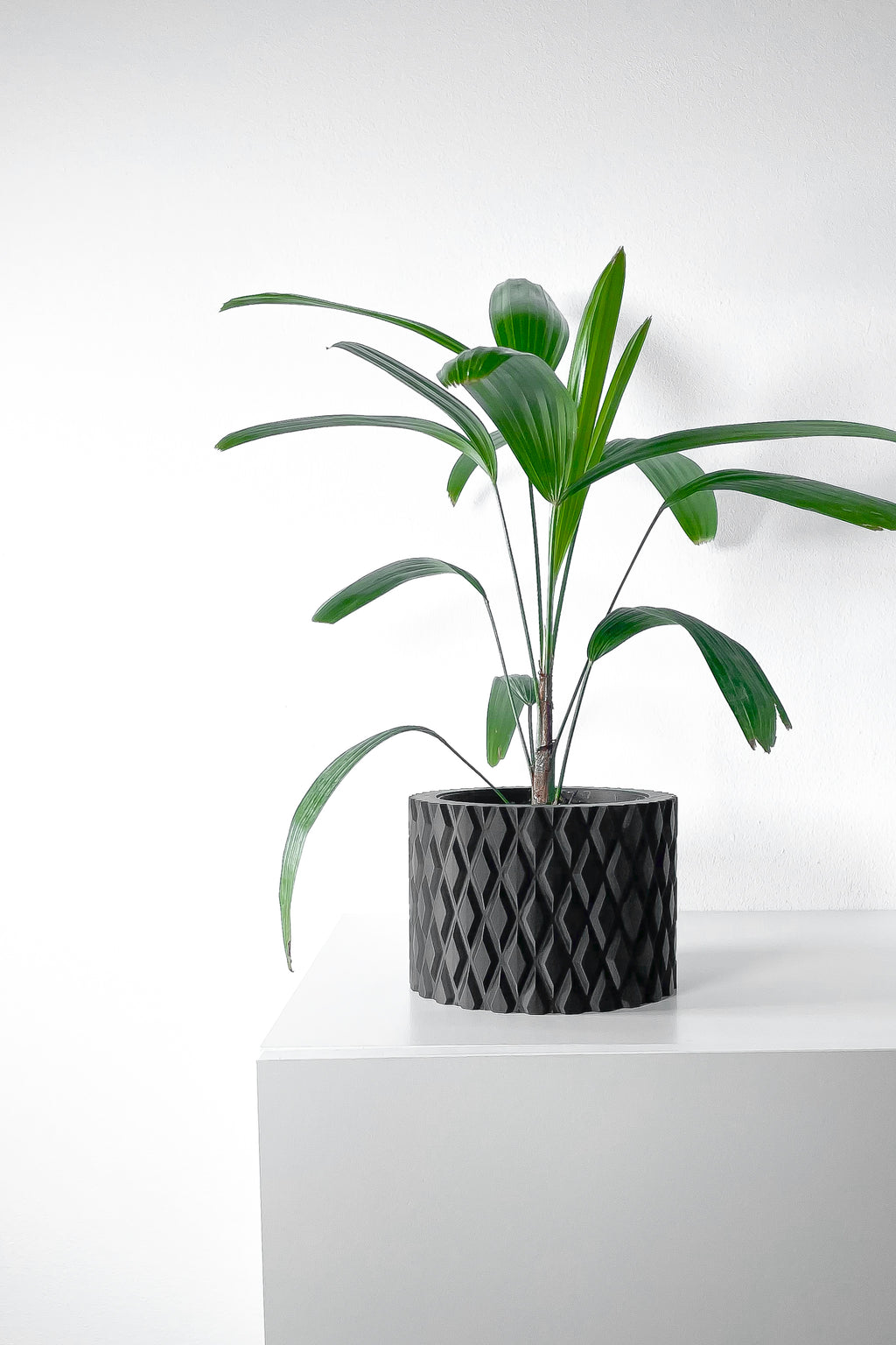 Pexil Planter