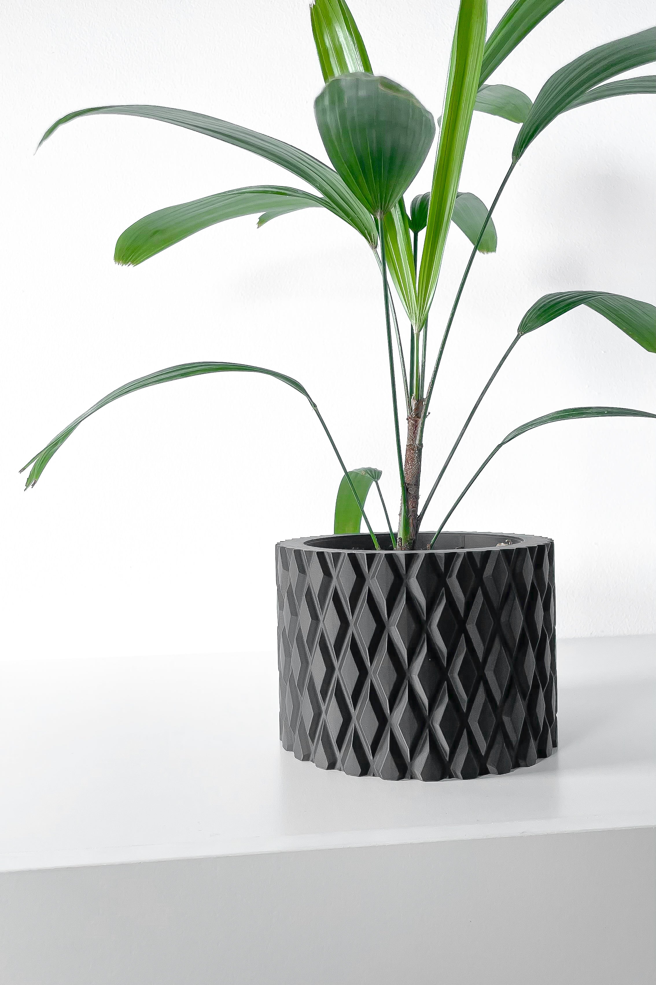 Pexil Planter