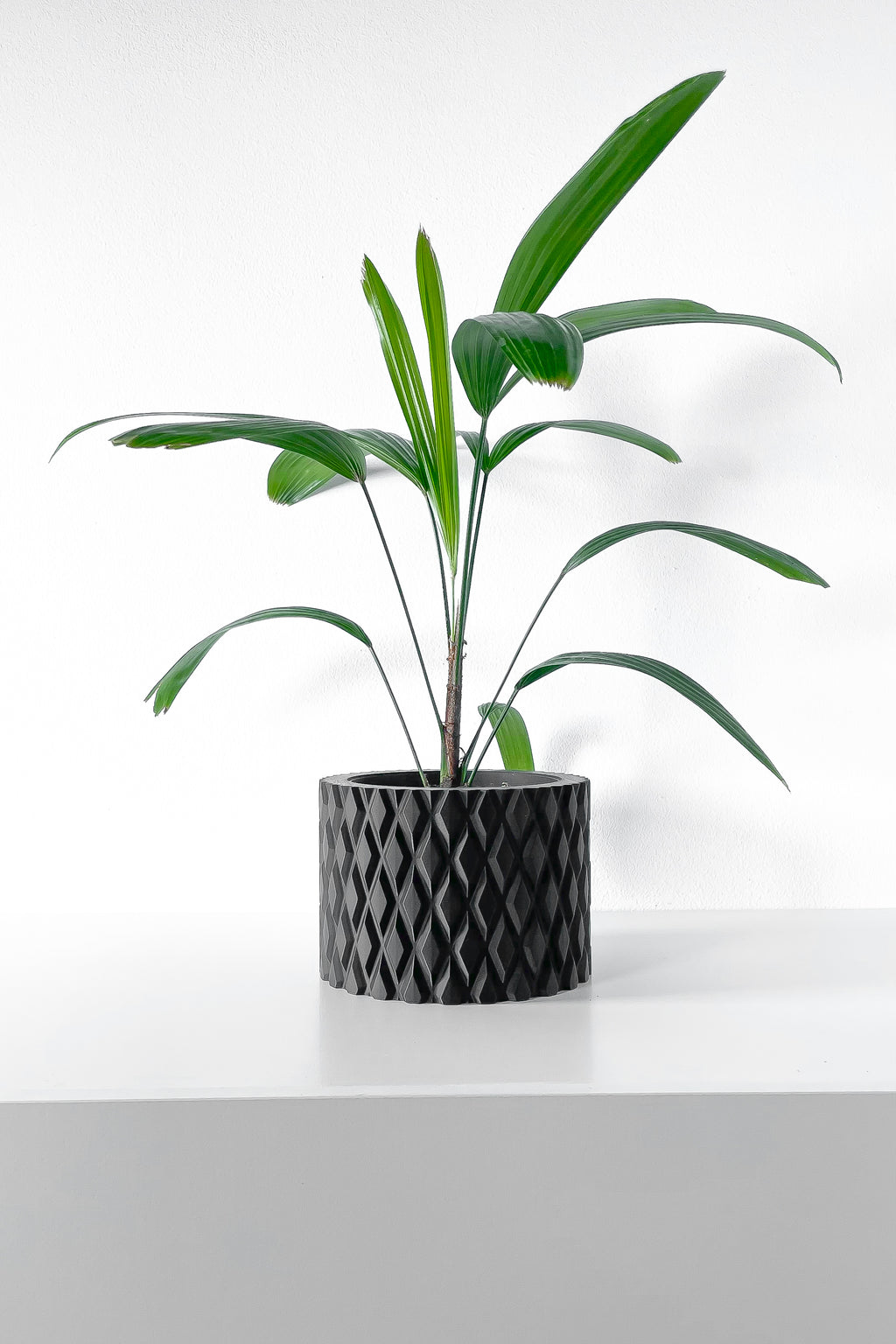 Pexil Planter