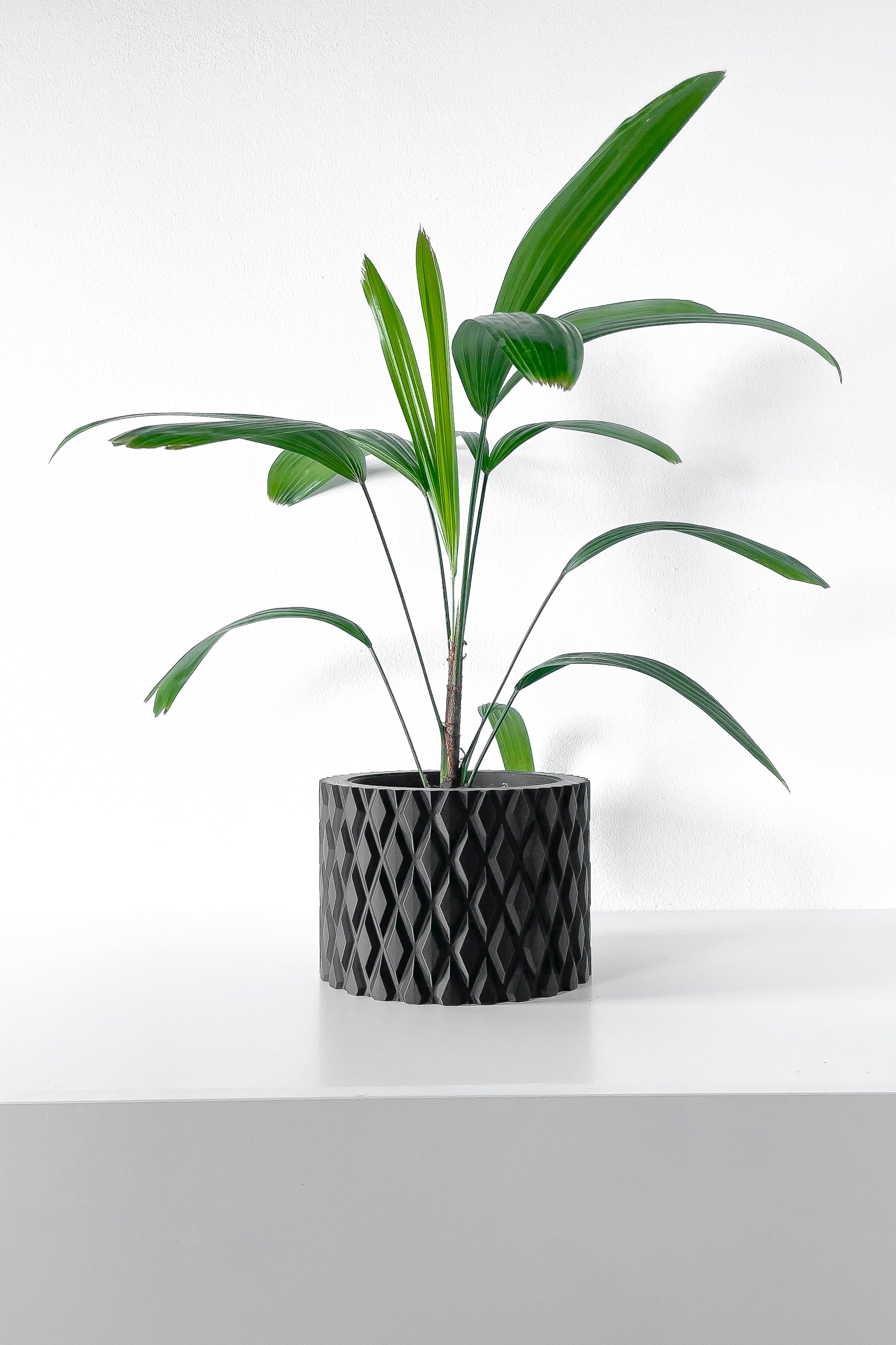 Pexil Planter