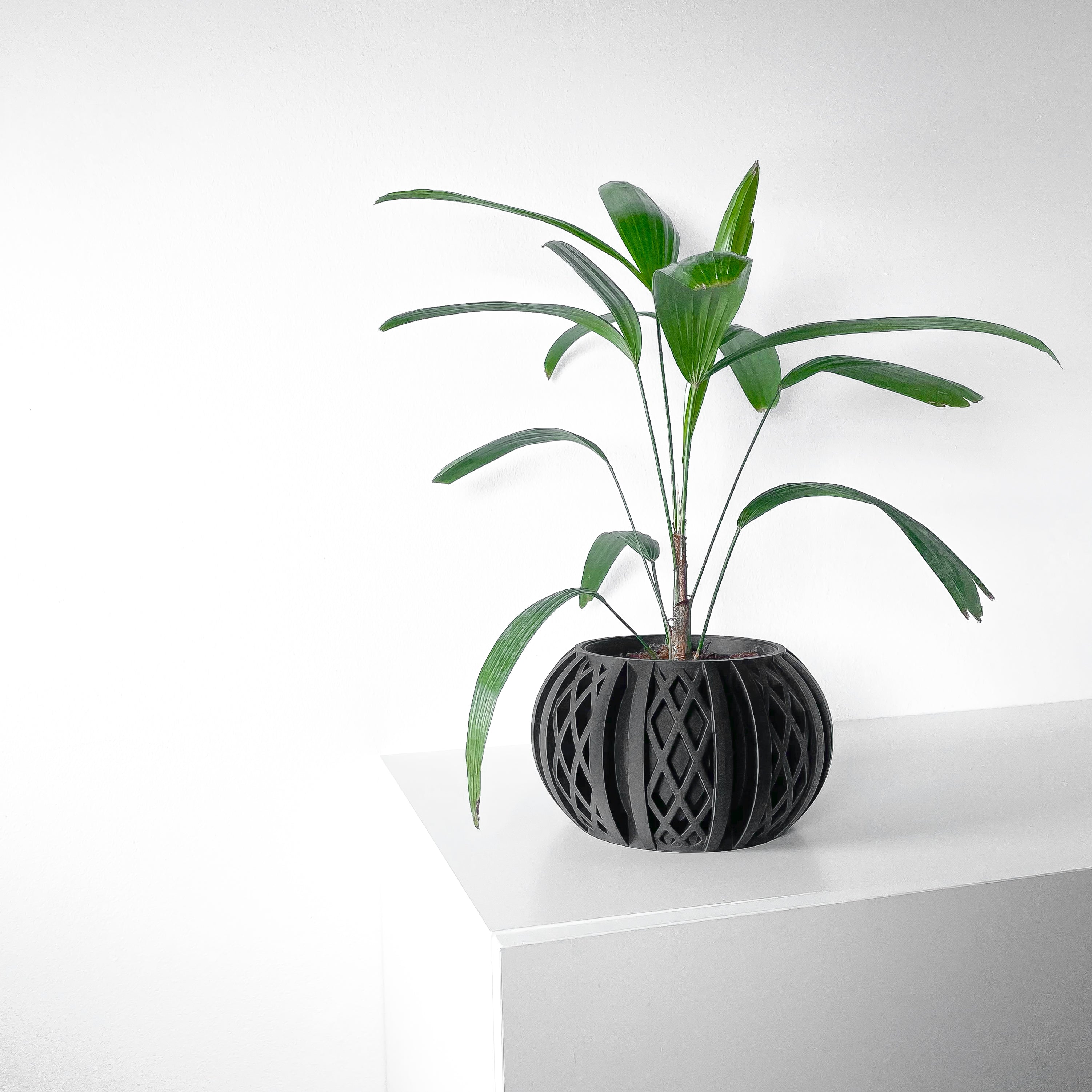 Quivon Planter