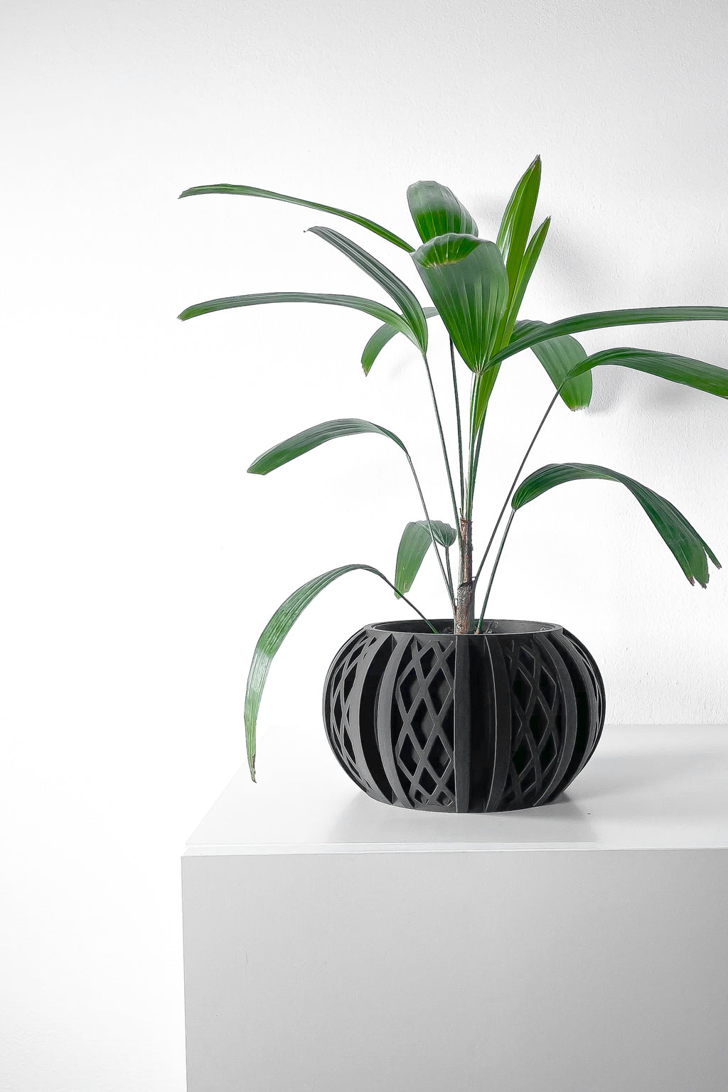 Quivon Planter