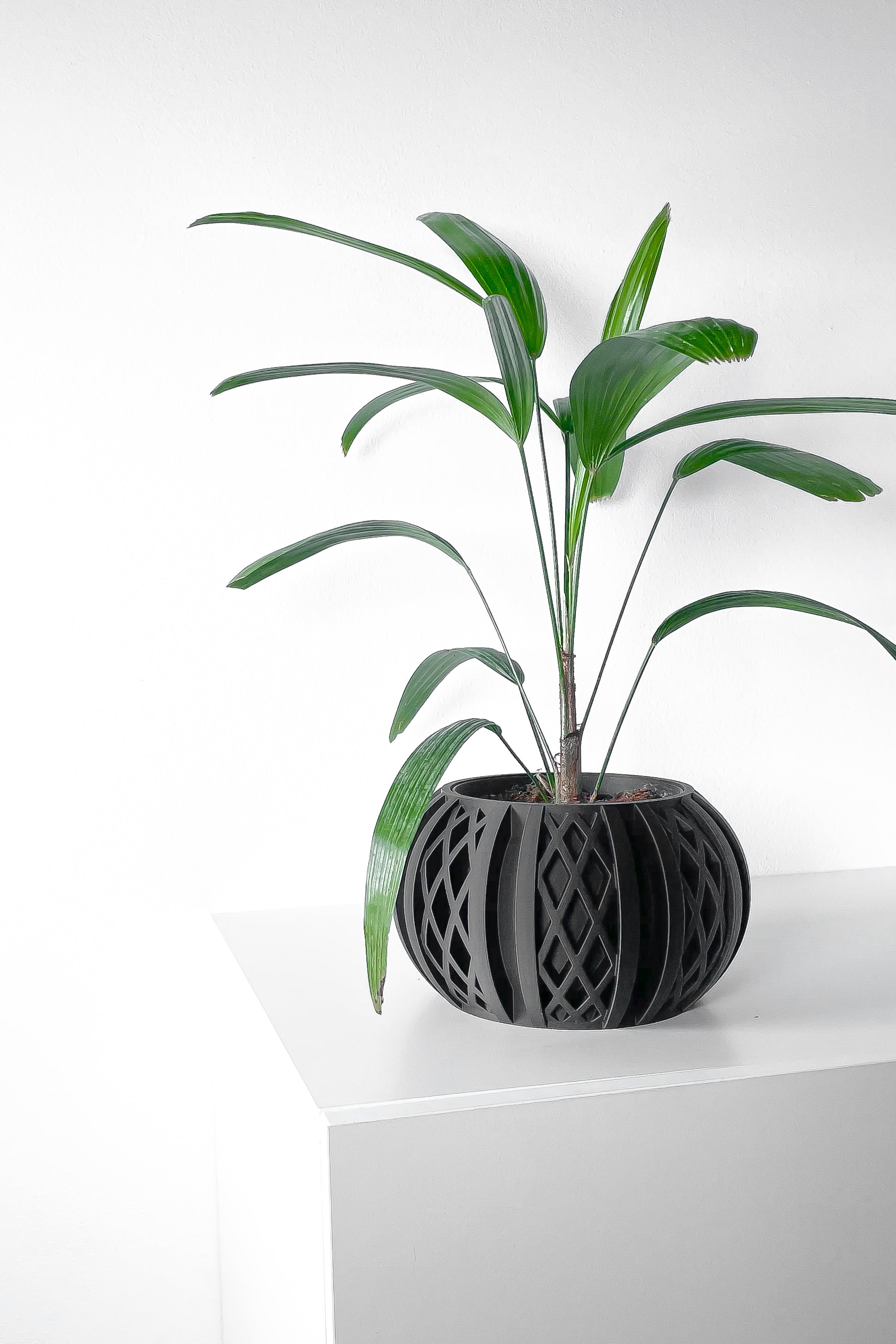 Quivon Planter