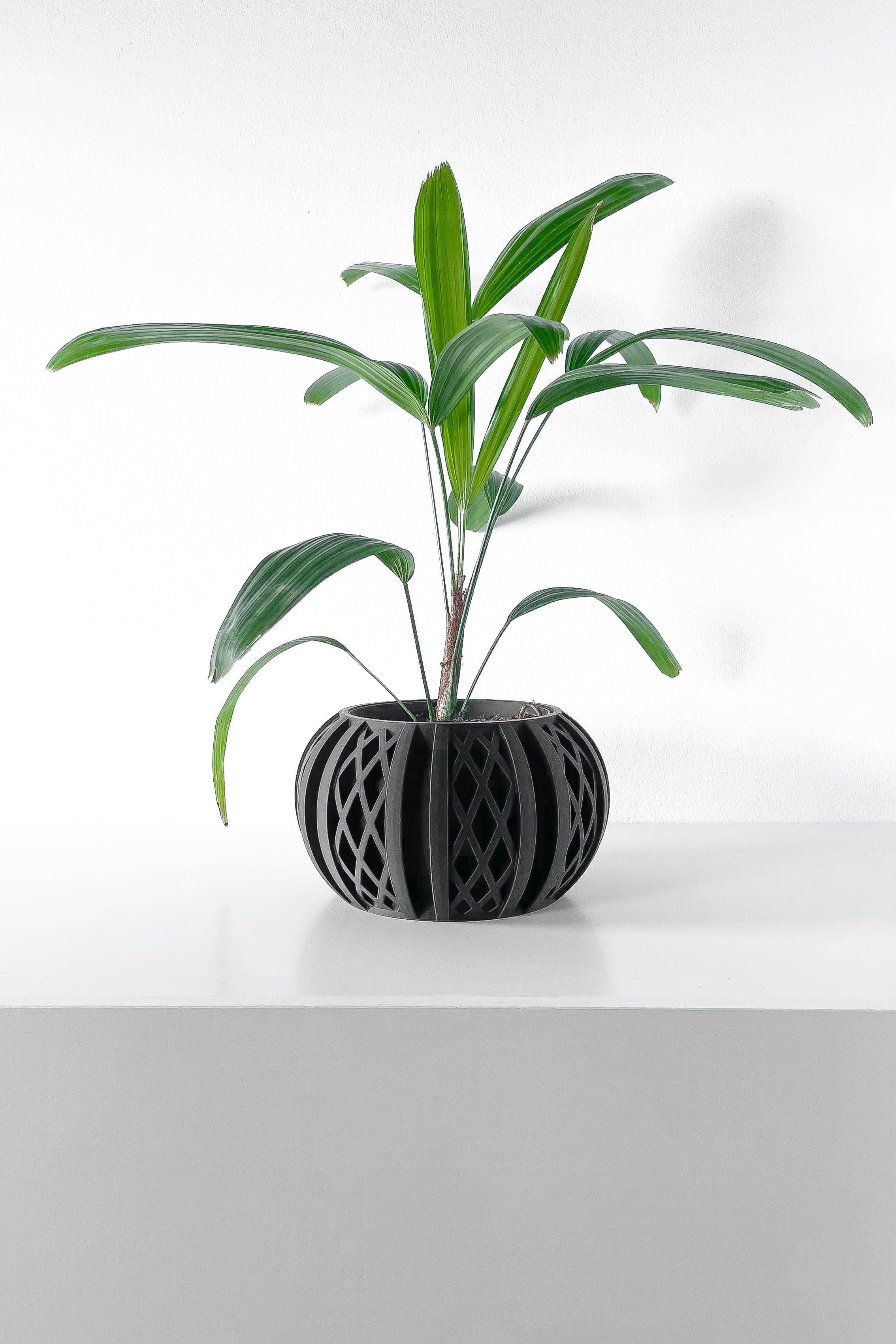 Quivon Planter