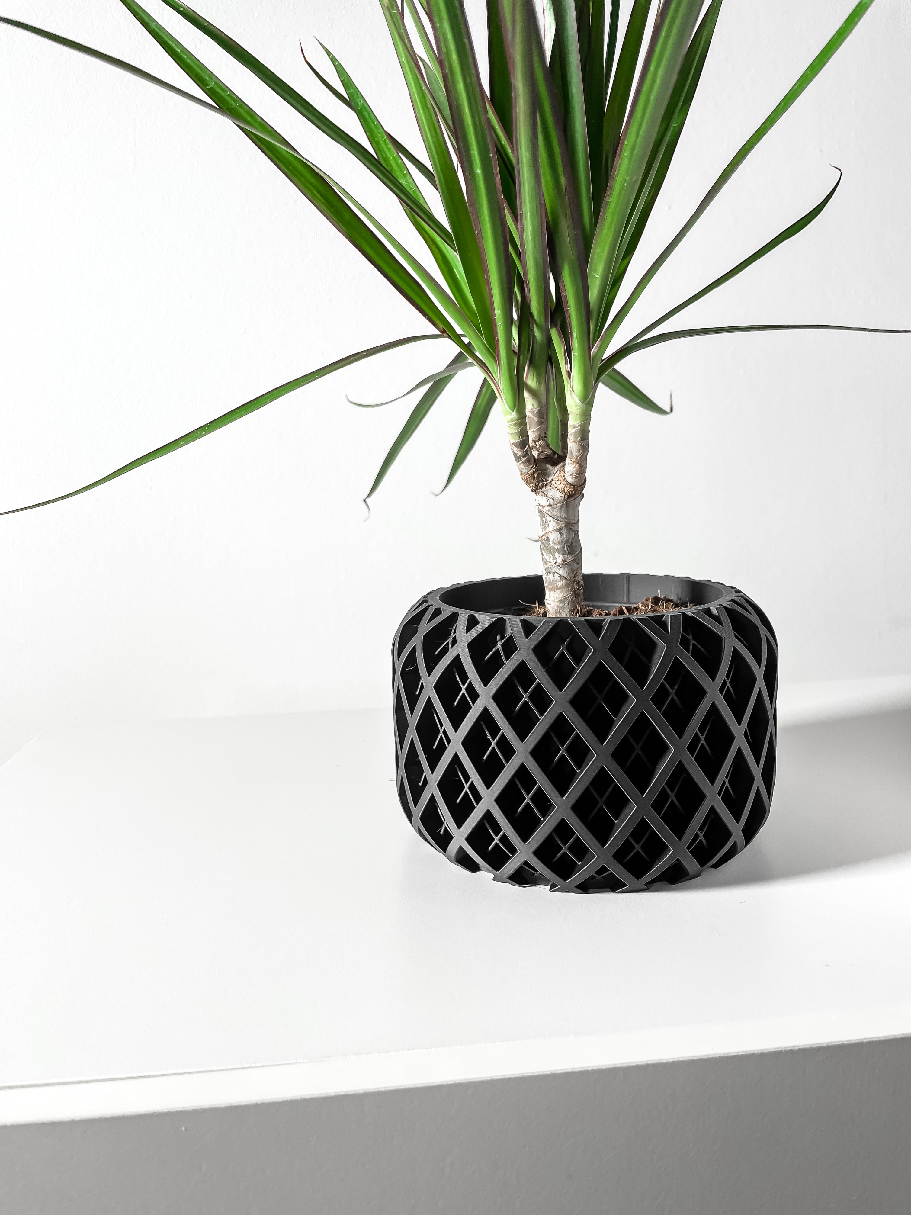 Torio Planter Pot
