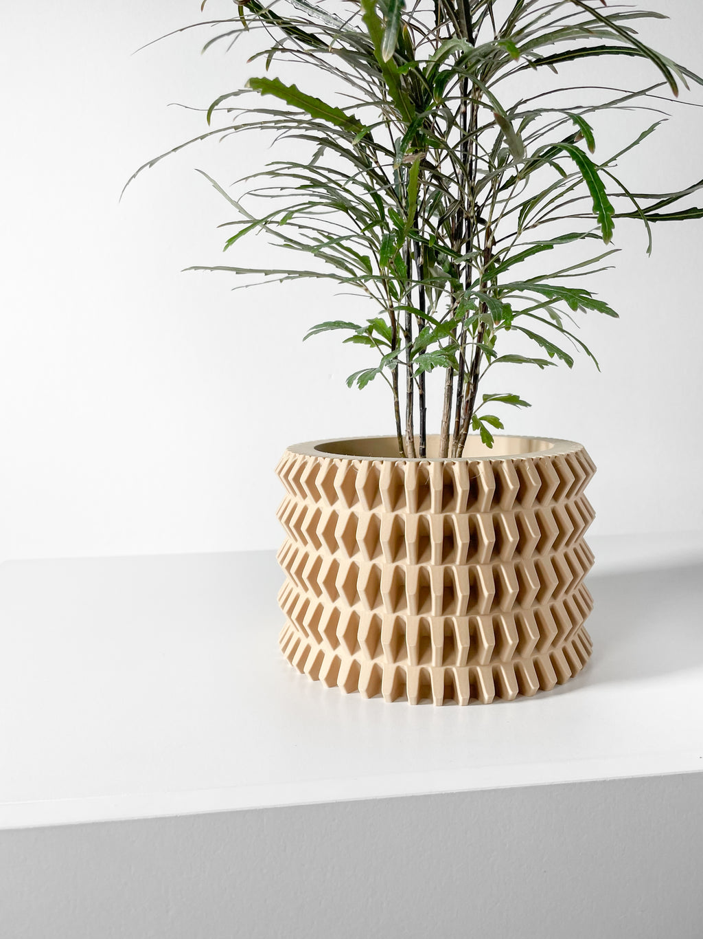Nimex Planter