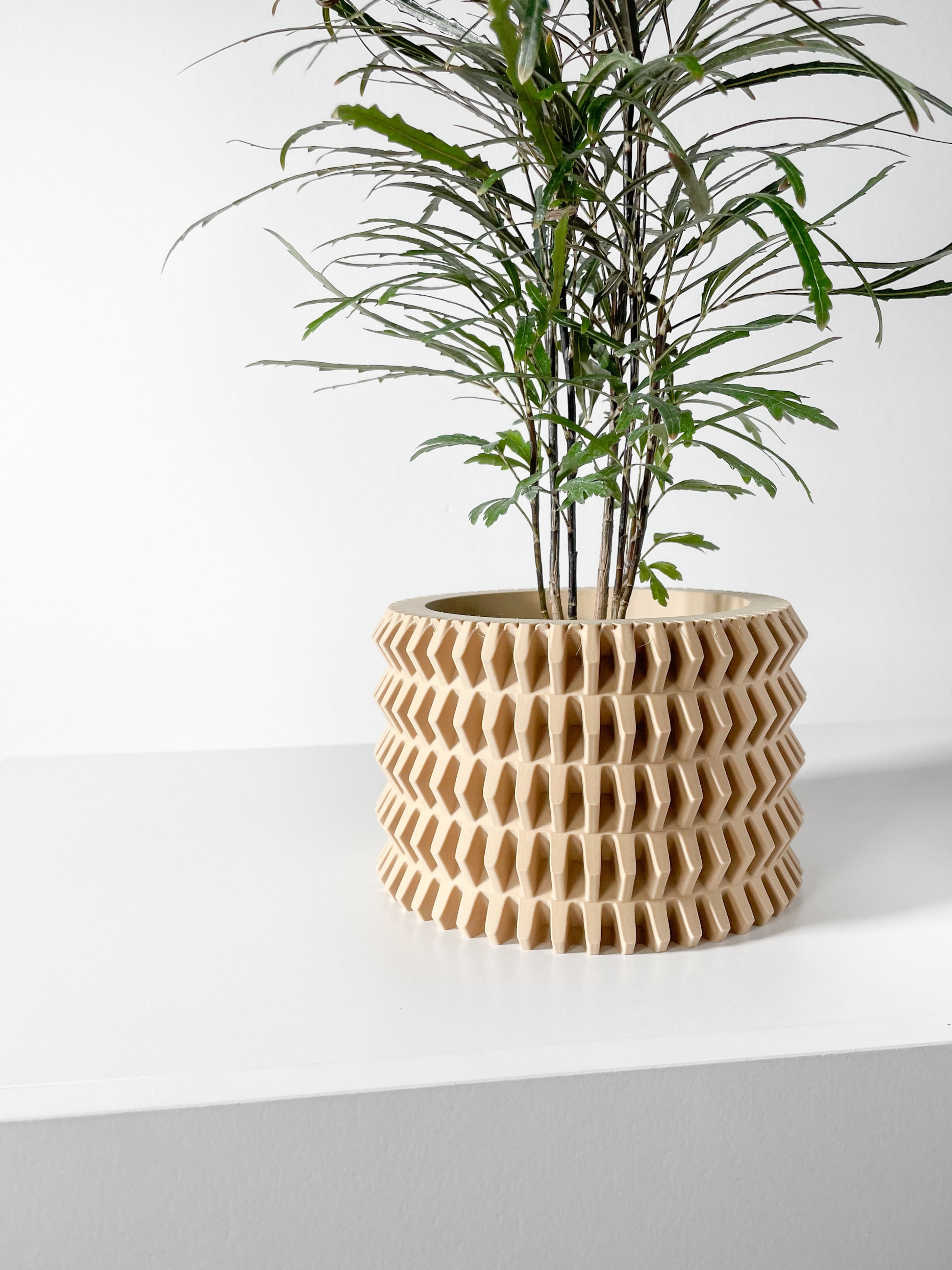 Nimex Planter