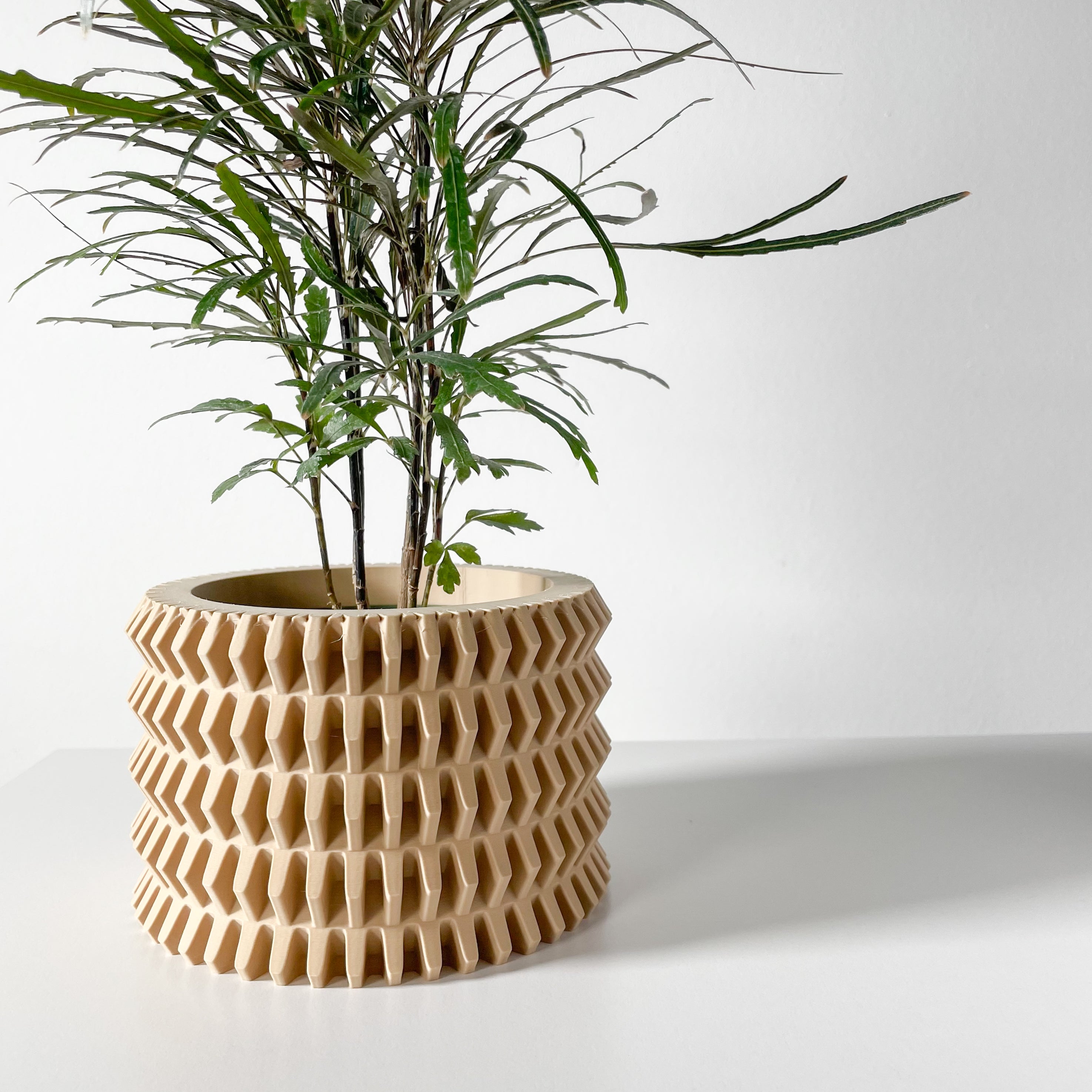 Nimex Planter
