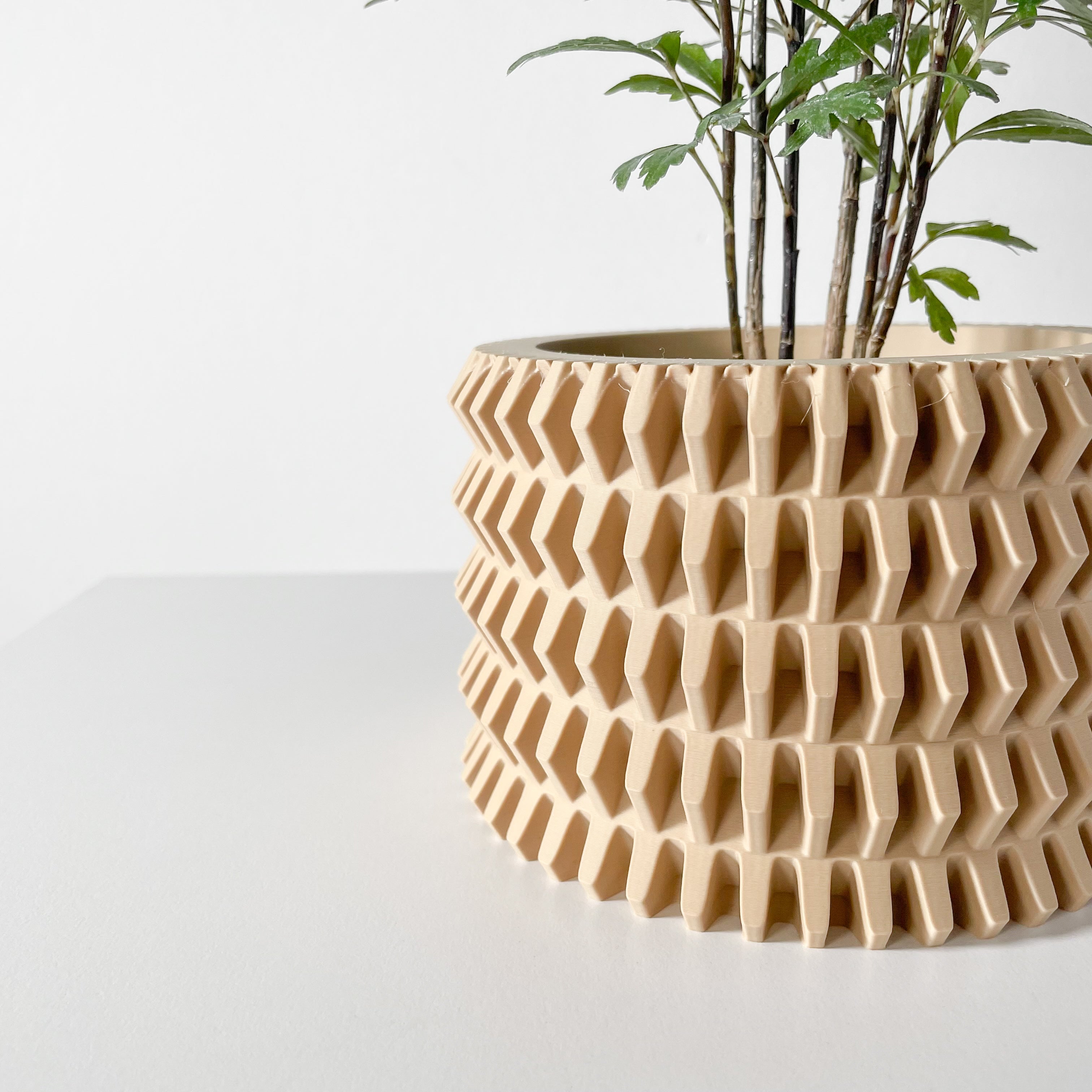 Nimex Planter