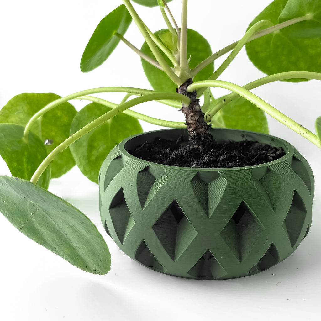Welen Planter