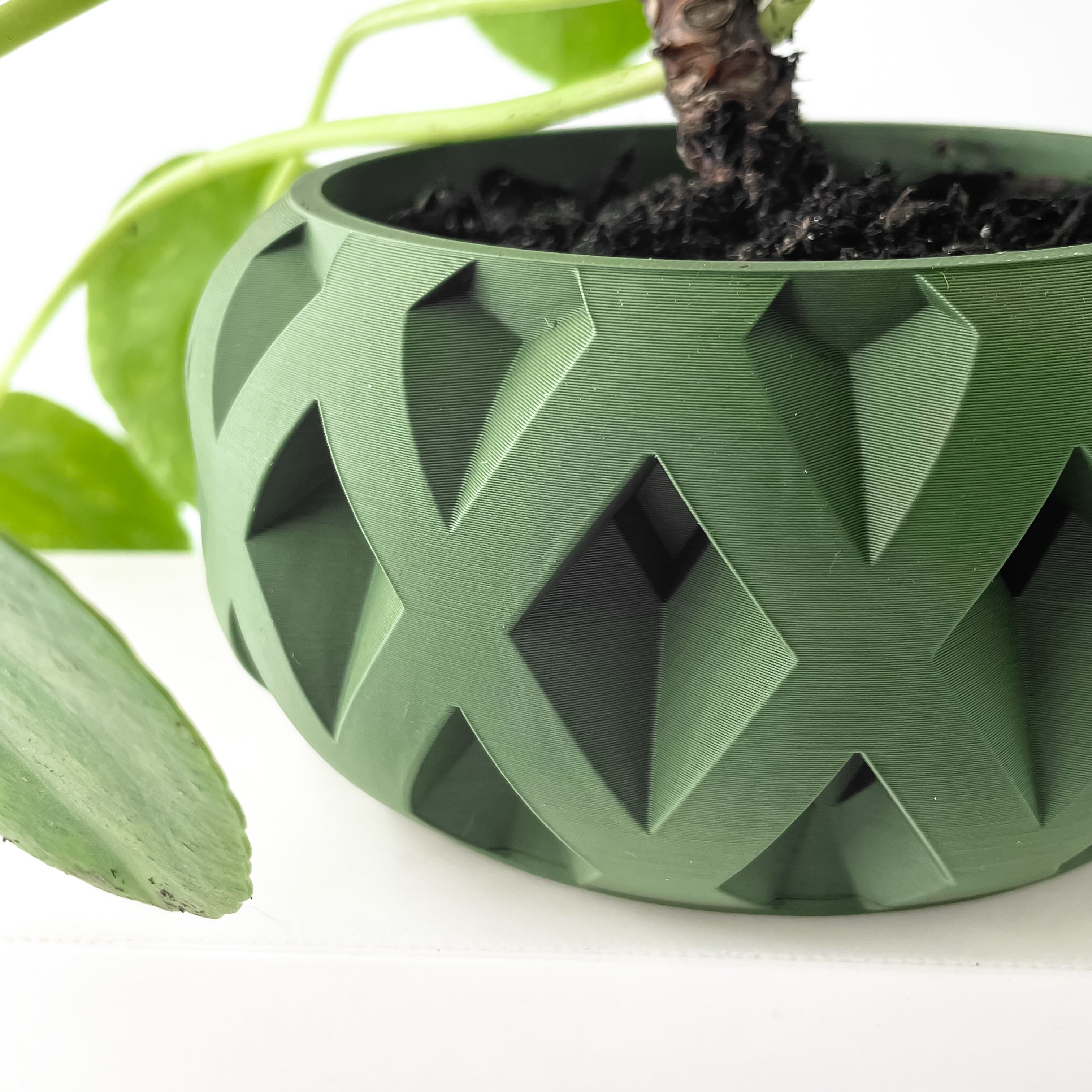 Welen Planter