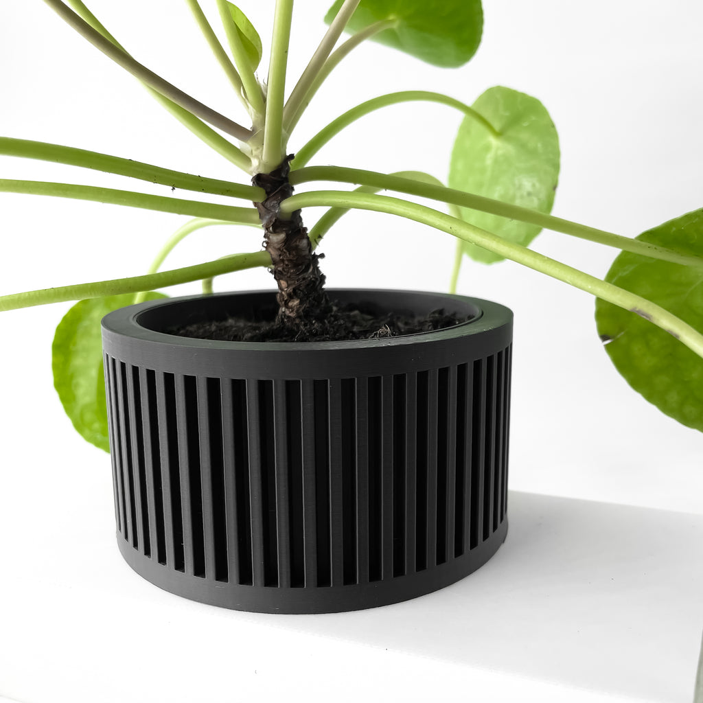 Paxon Planter