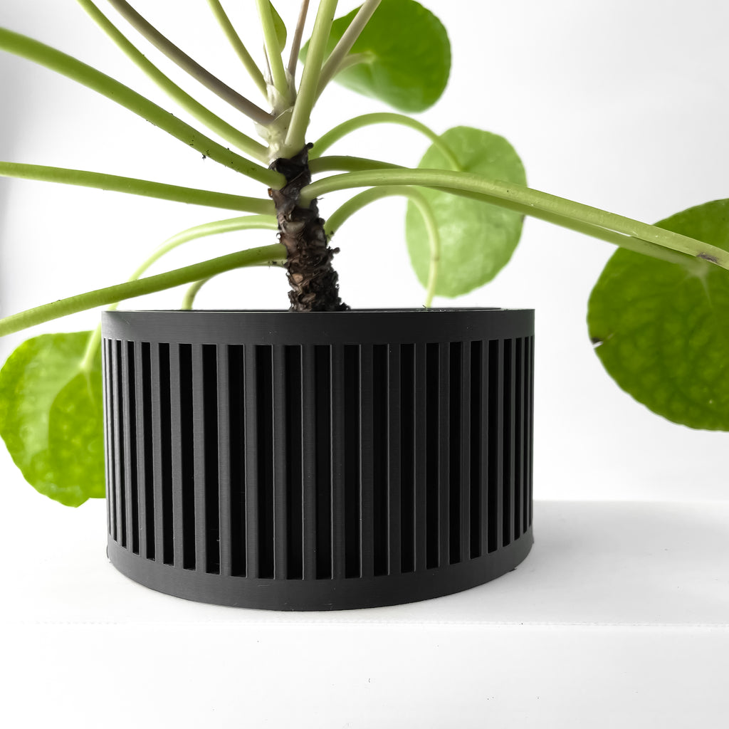 Paxon Planter