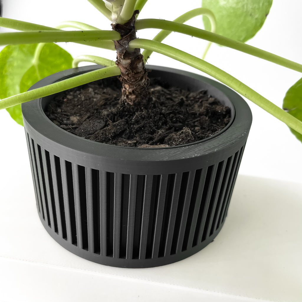 Paxon Planter
