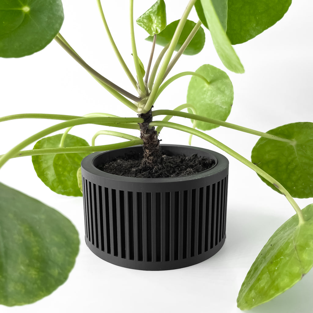 Paxon Planter