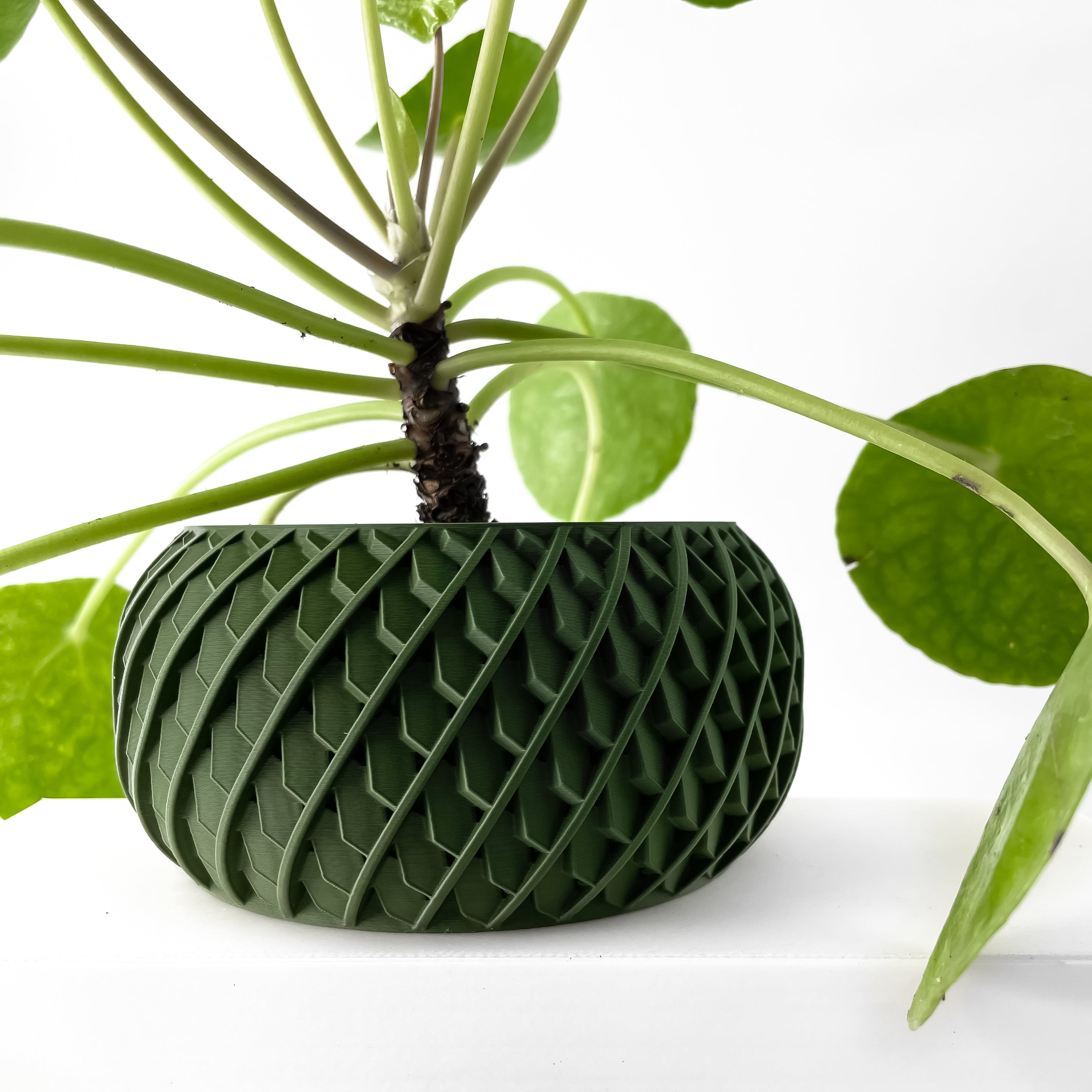 Evlar Planter