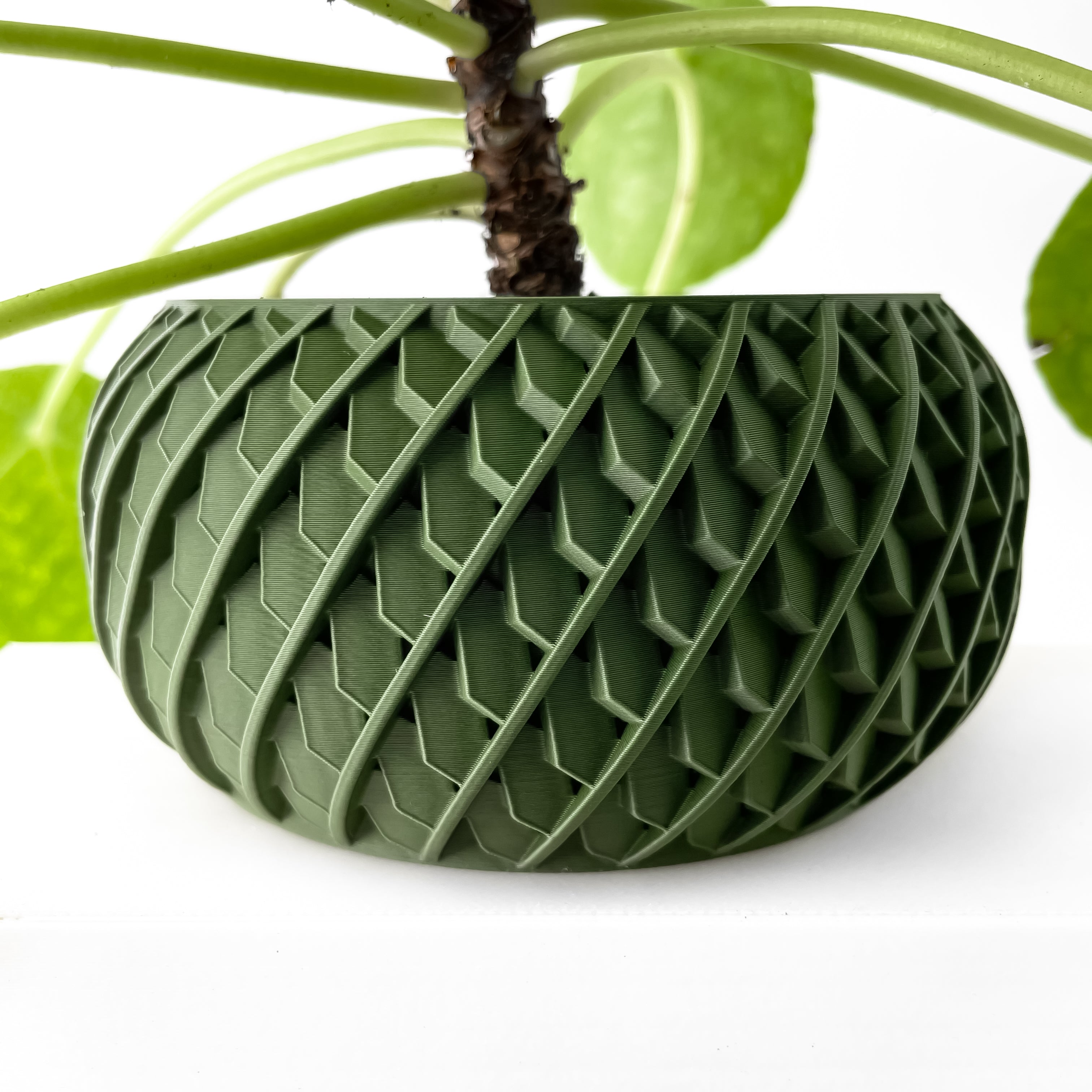 Evlar Planter