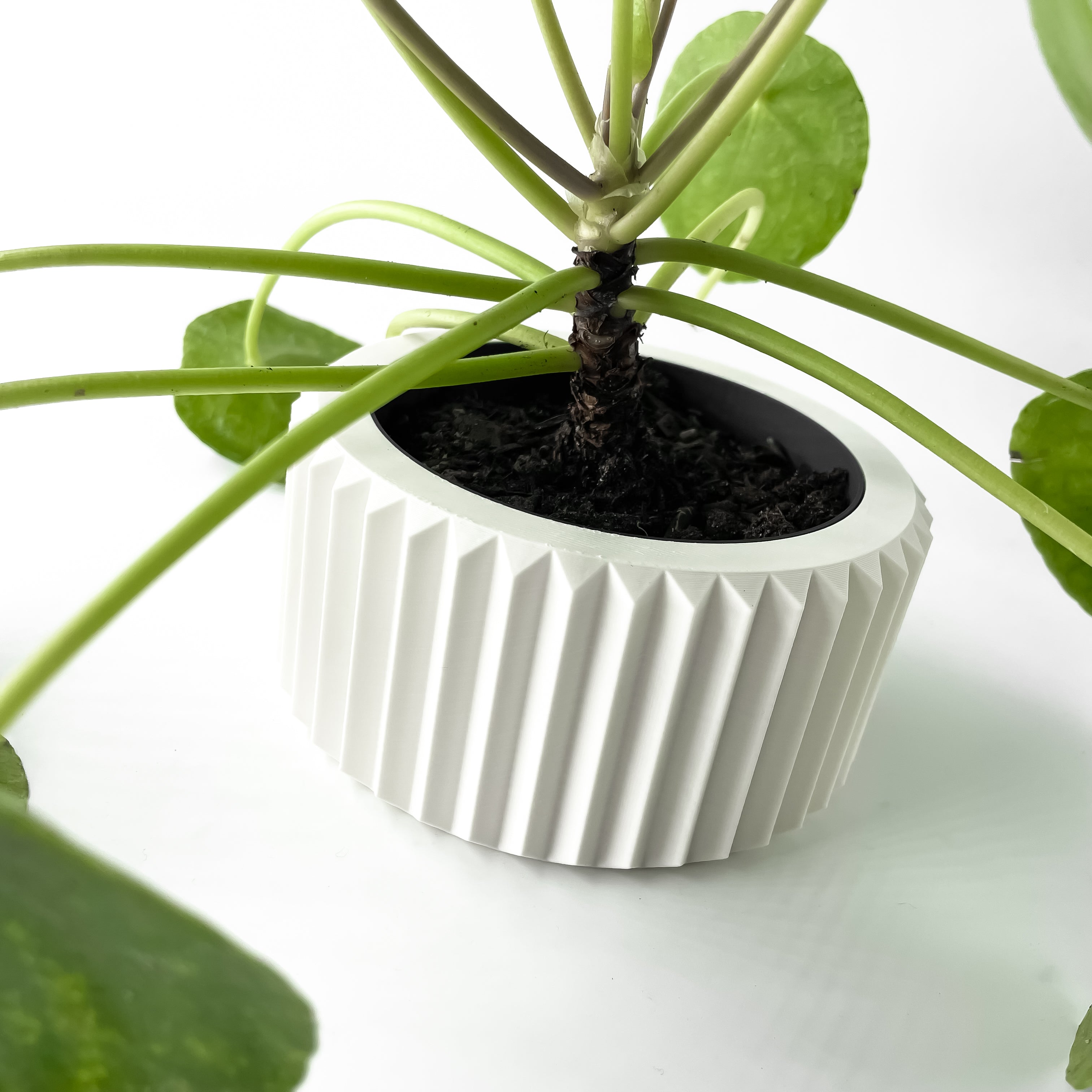 Rilas Planter