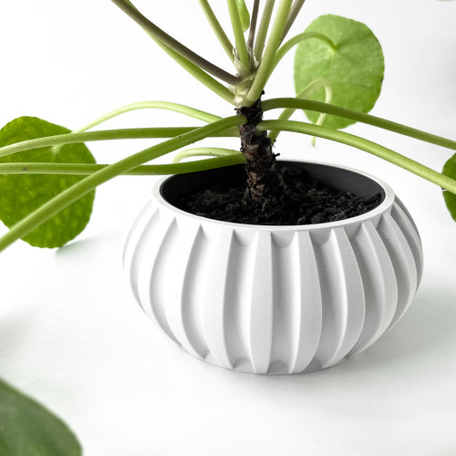 Alden Planter