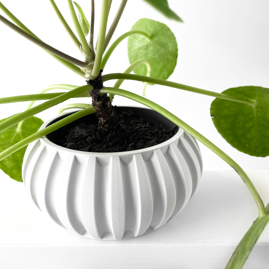Alden Planter