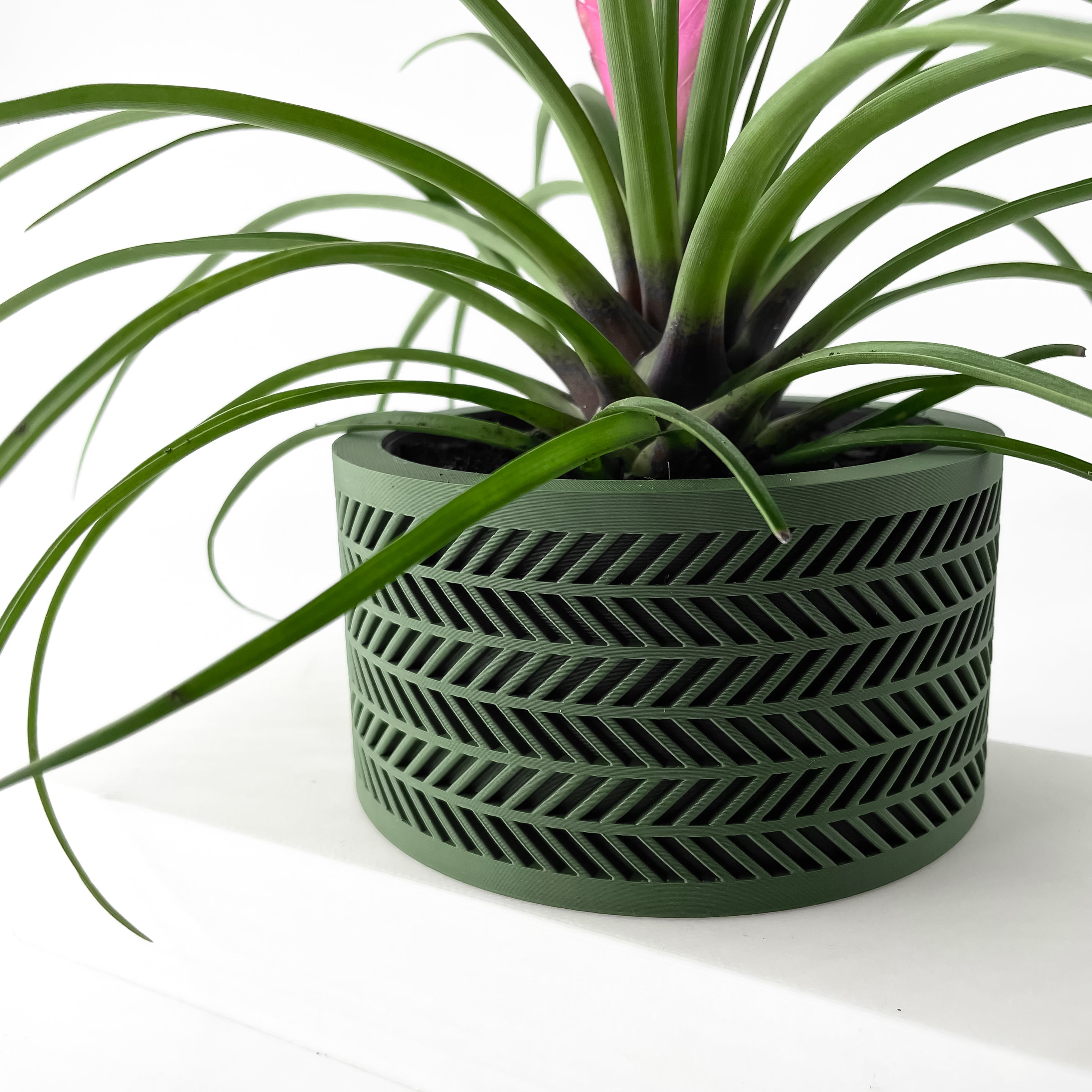 Quen Planter