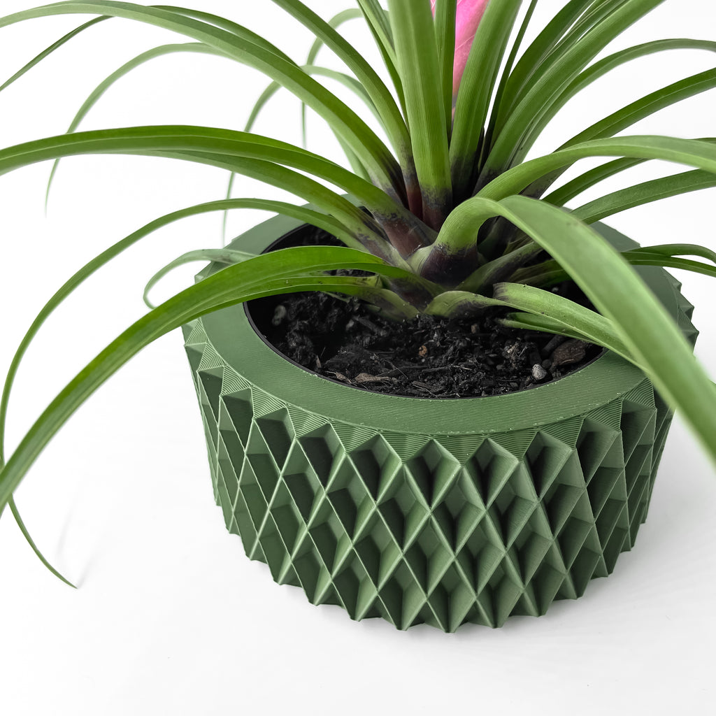 Sarv Planter