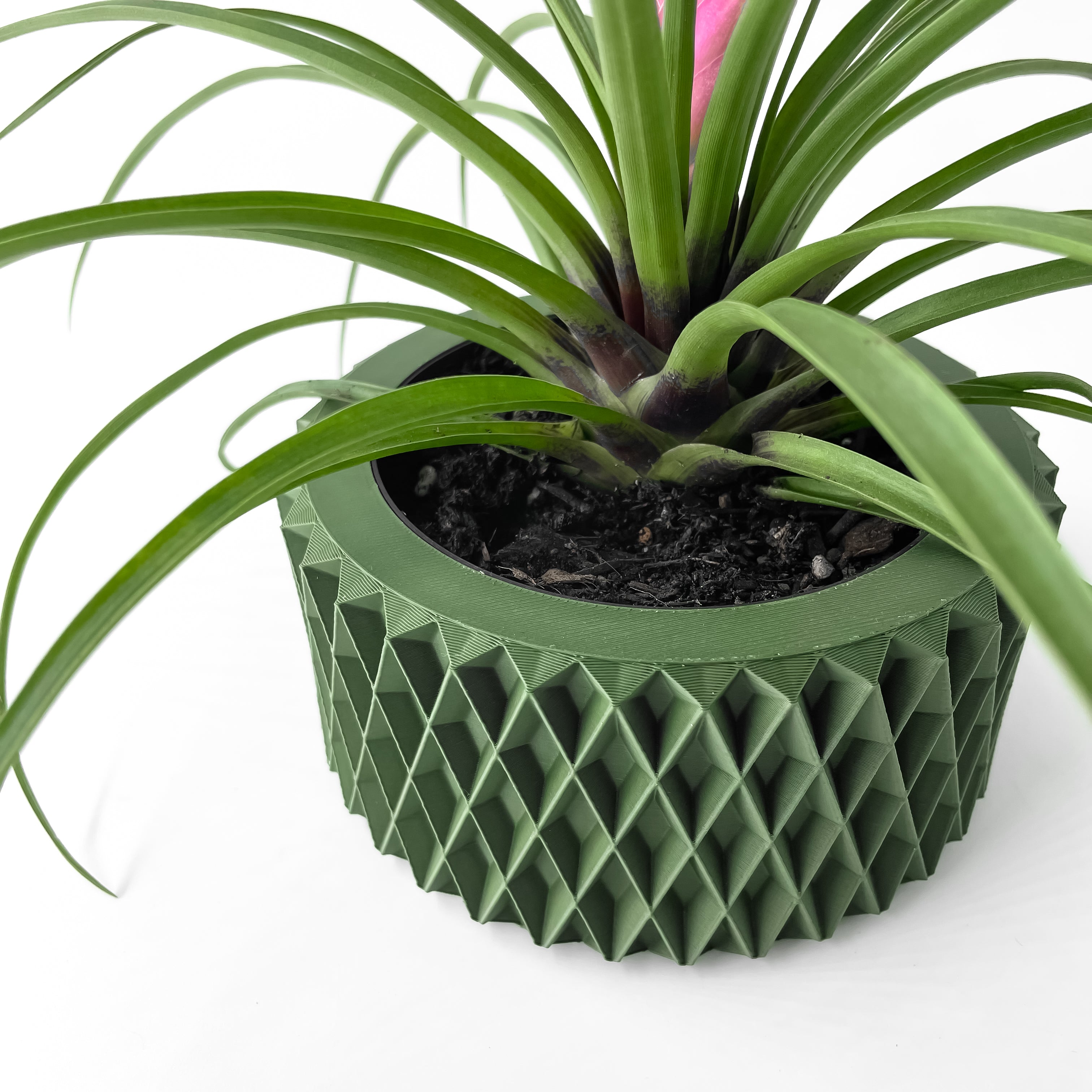 Sarv Planter