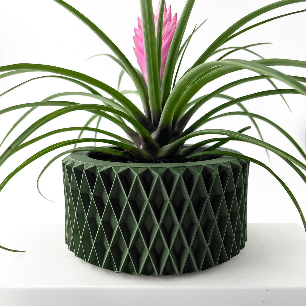 Sarv Planter