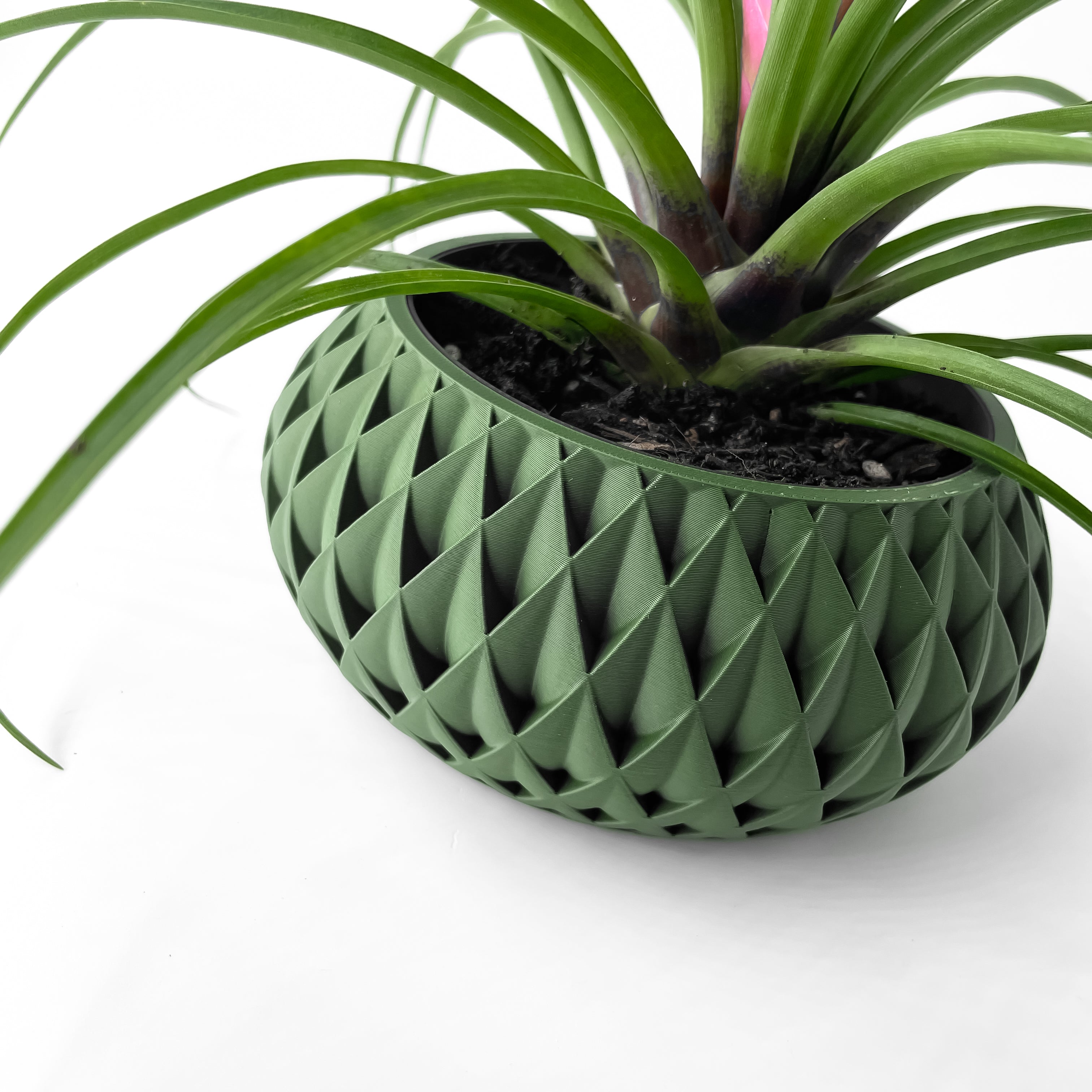 Cinor Planter