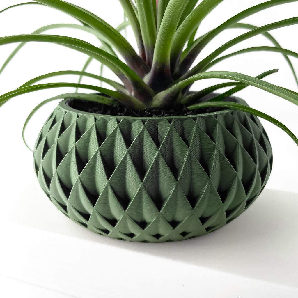 Cinor Planter