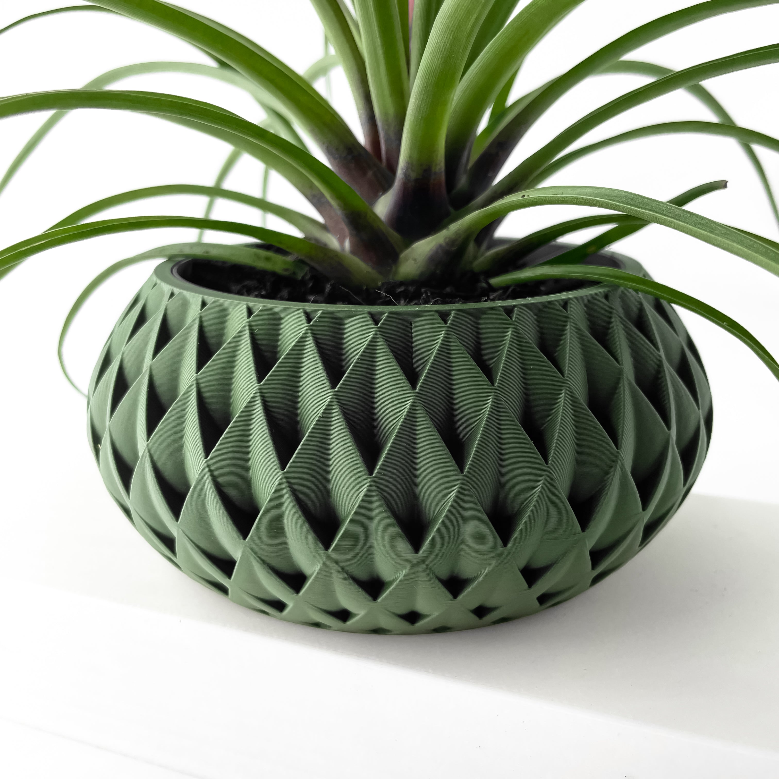 Cinor Planter