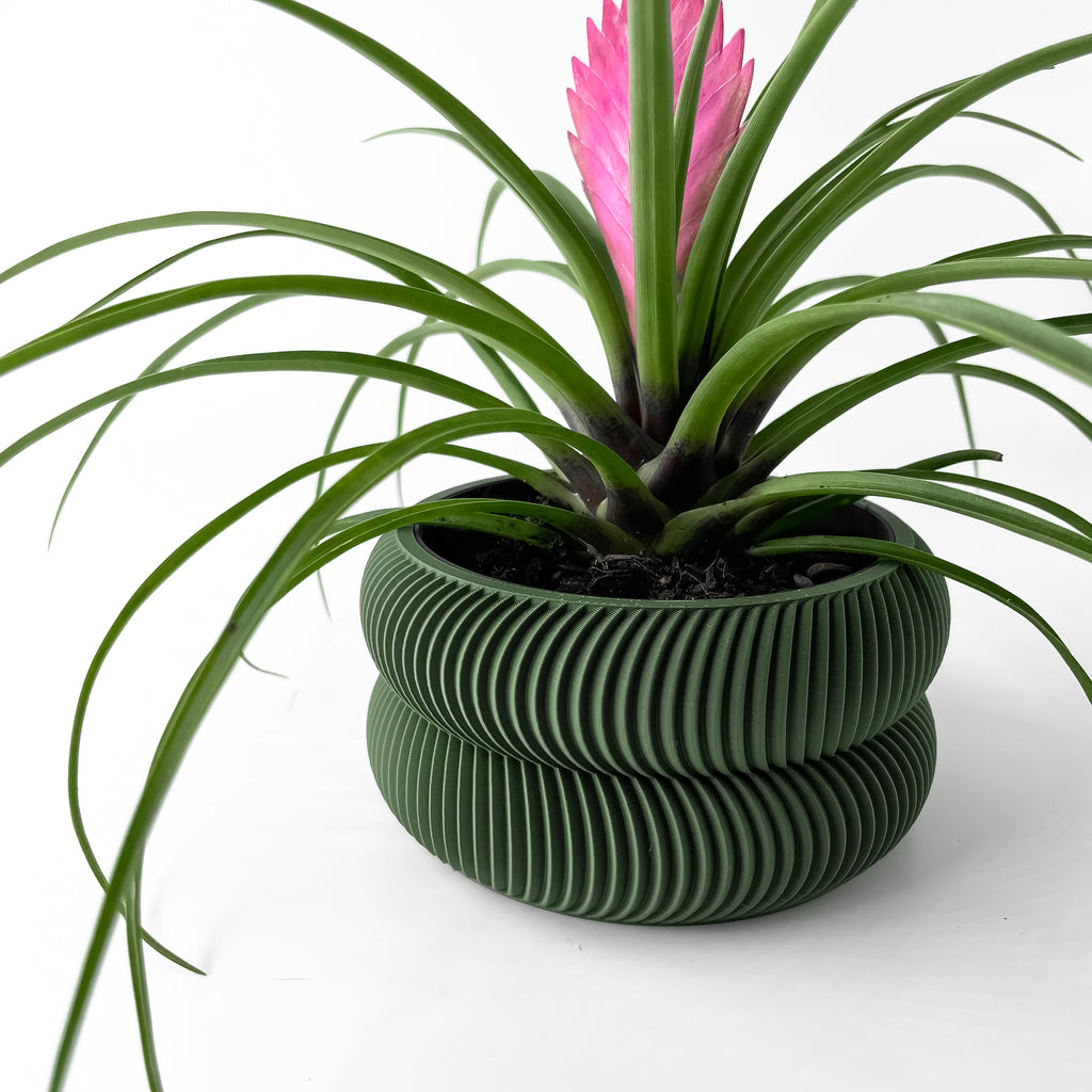 Avex Planter